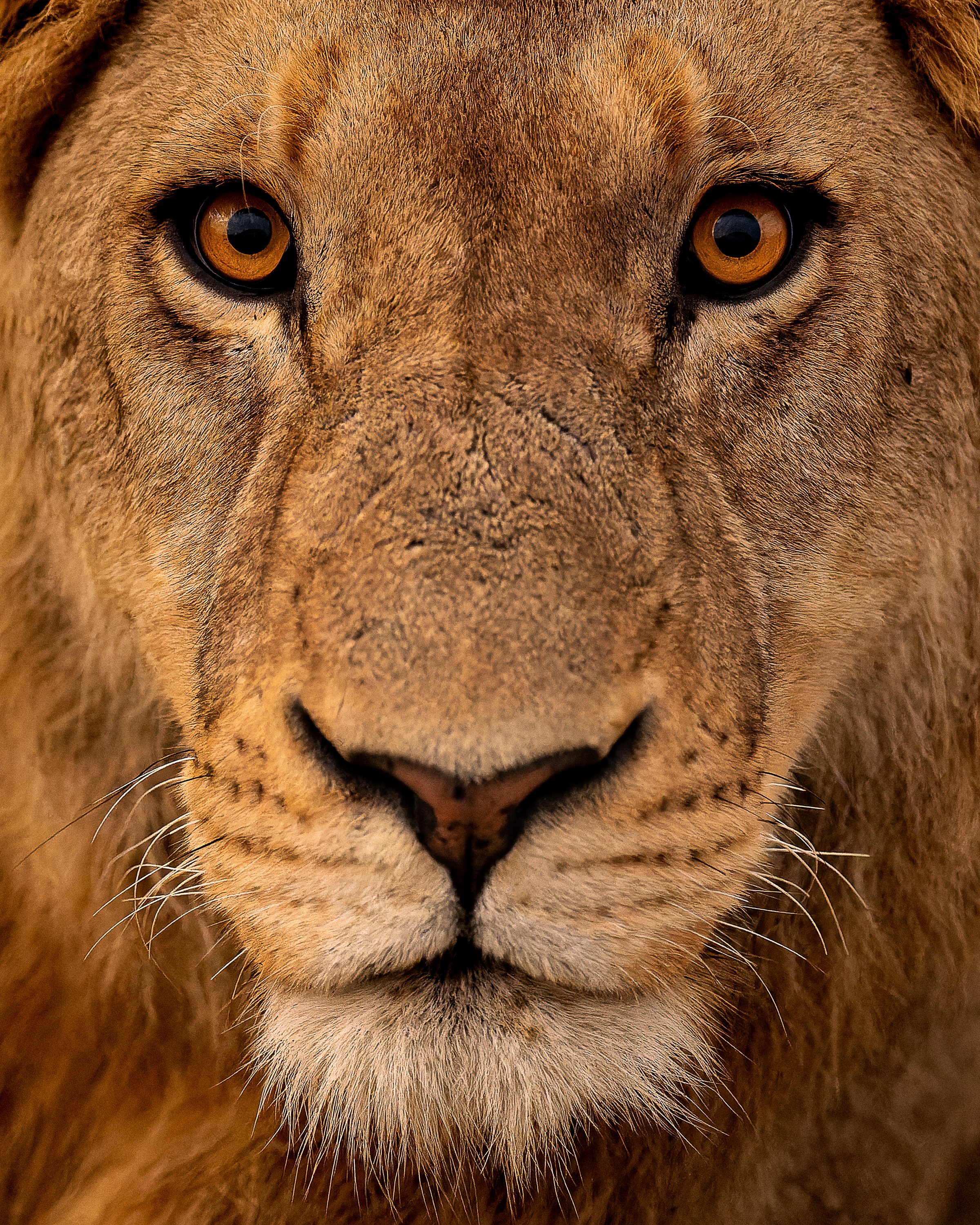DSC05948-ARW_DxO_DeepPRIME.jpg