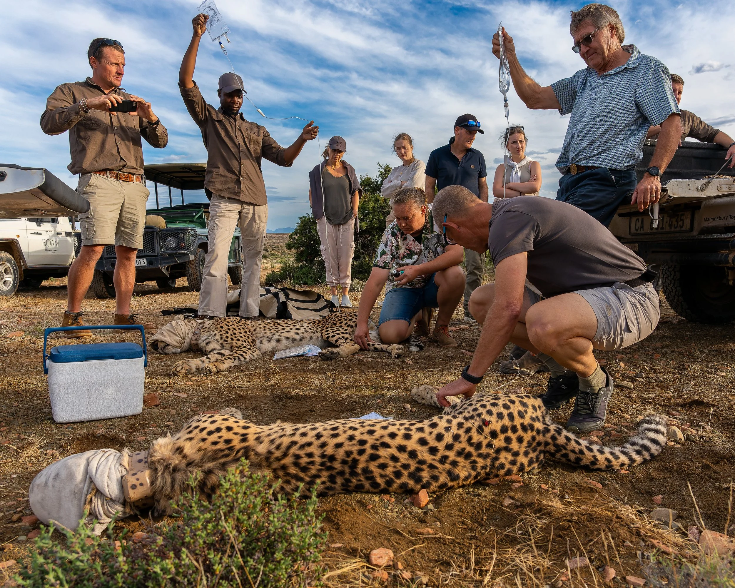 DSC01301-ARW_DxO_DeepPRIME kopie.jpg