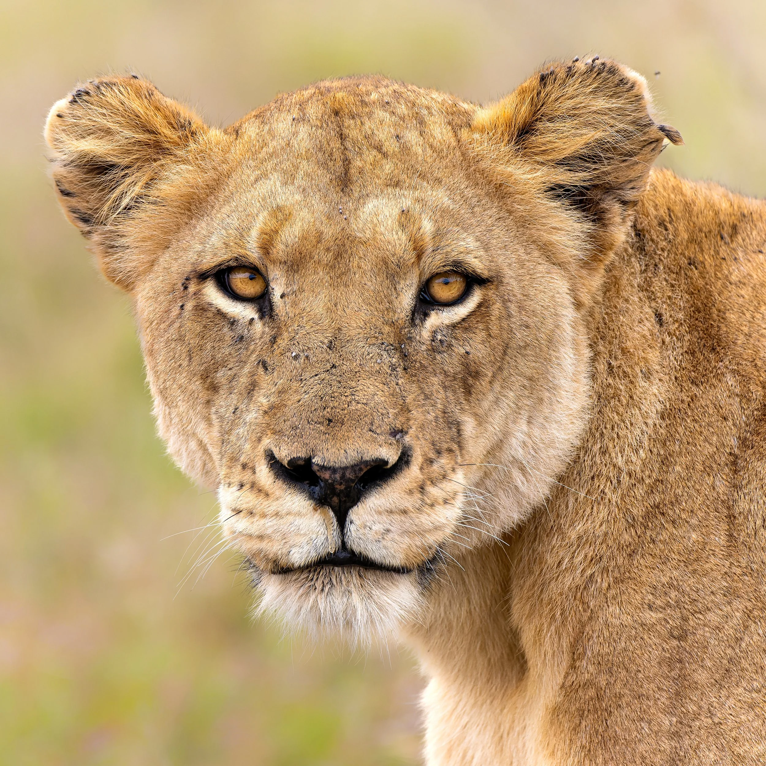 DSC09210-ARW_DxO_DeepPRIME-2 kopie.jpg