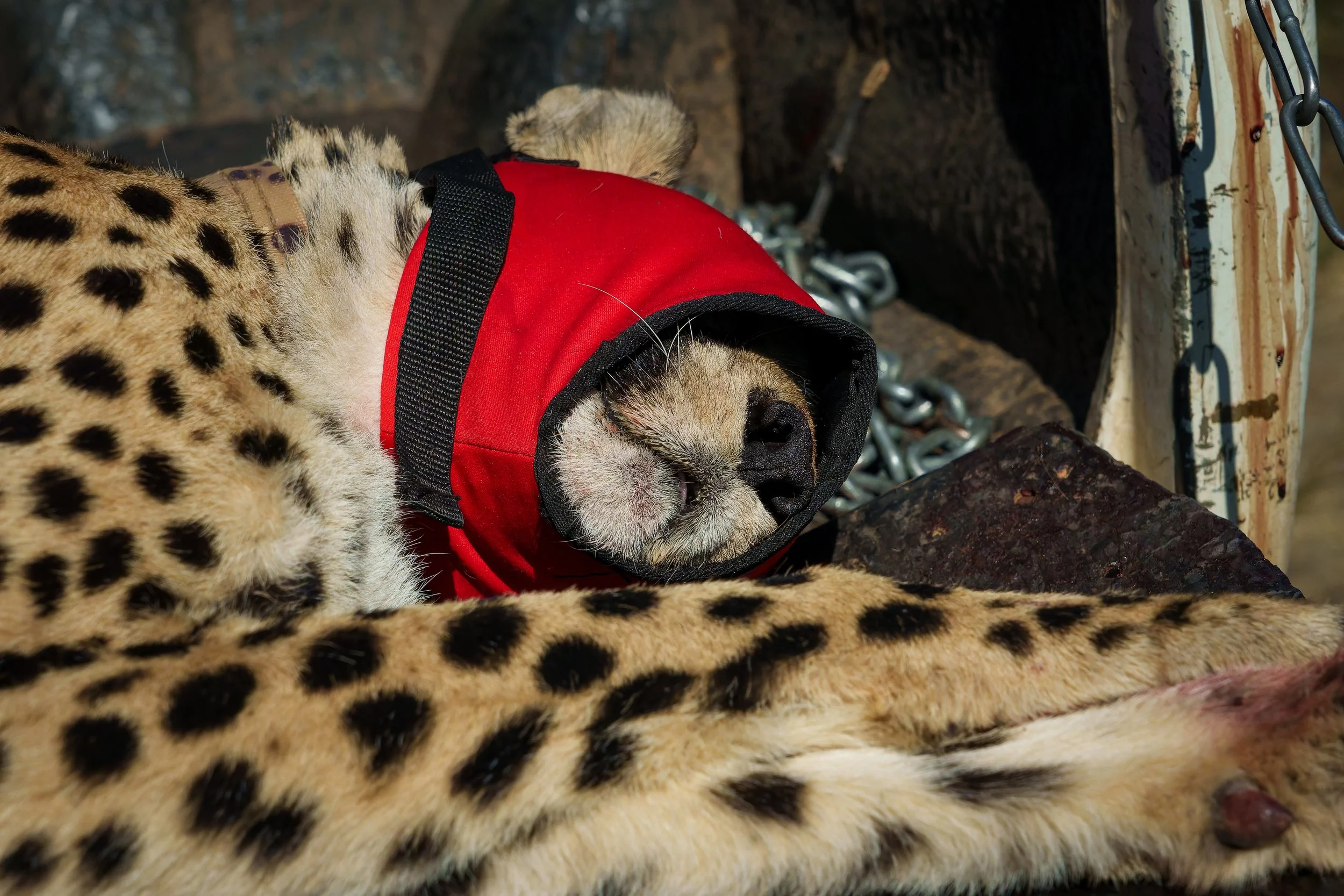 DSC04653-ARW_DxO_DeepPRIME.jpg