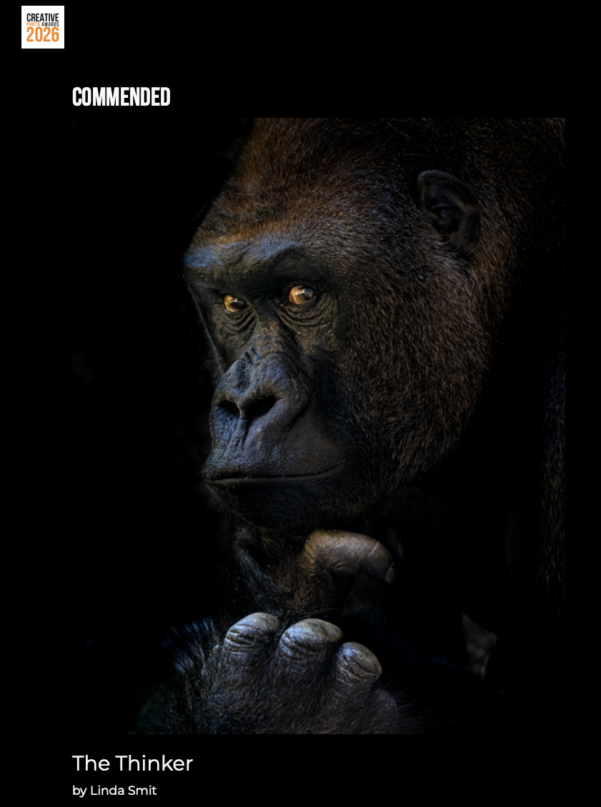 Scherm­afbeelding 2025-11-29 om 12.22.05.png