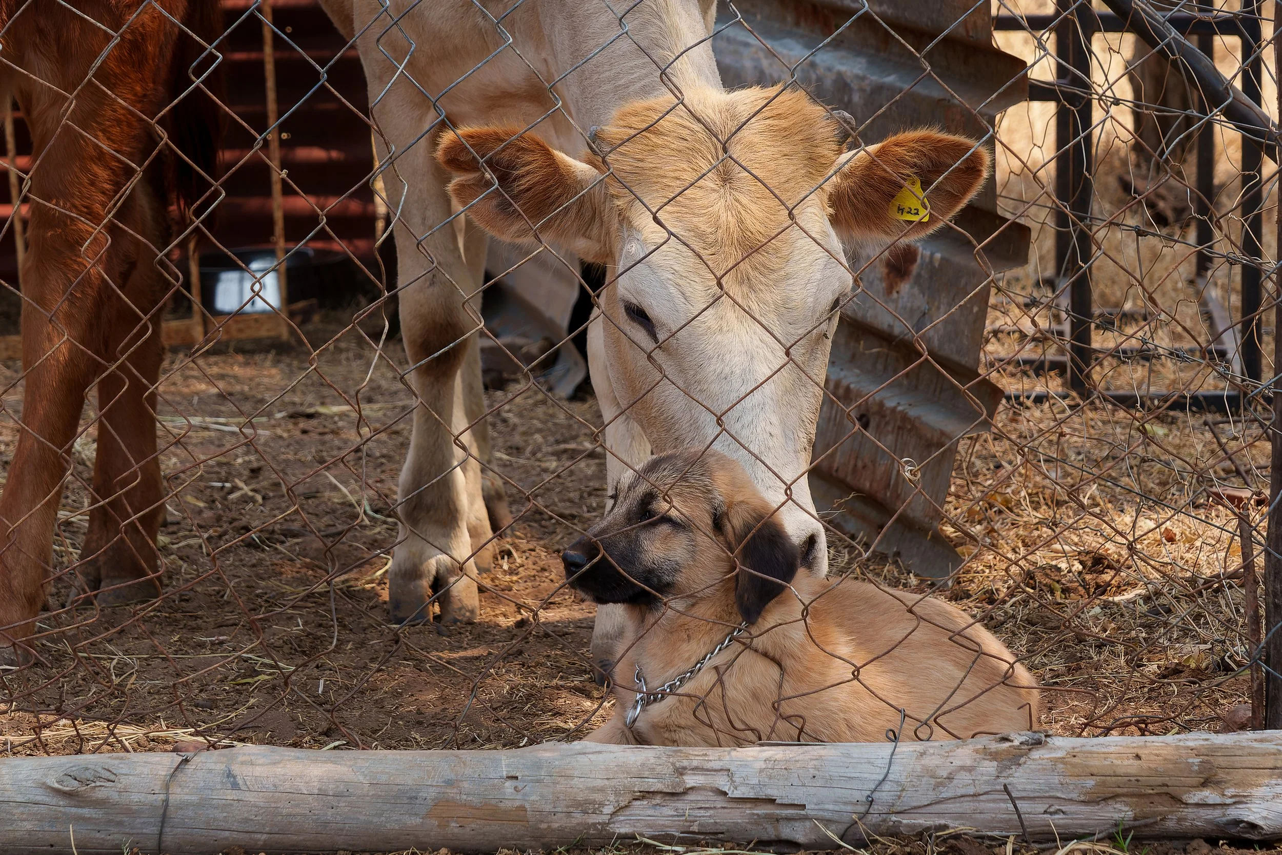 DSC01266-ARW_DxO_DeepPRIME-2.jpg