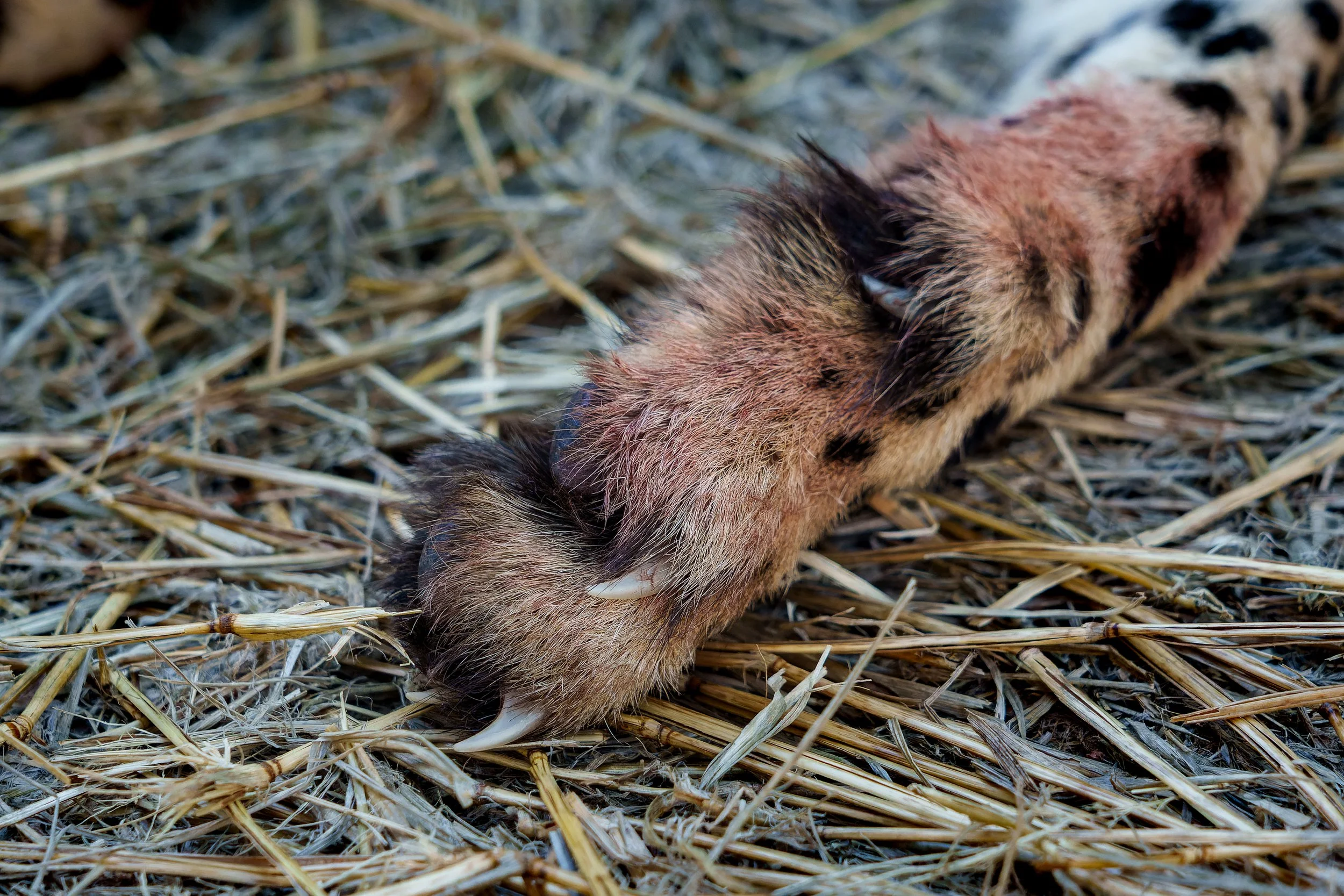 DSC04682-ARW_DxO_DeepPRIME.jpg