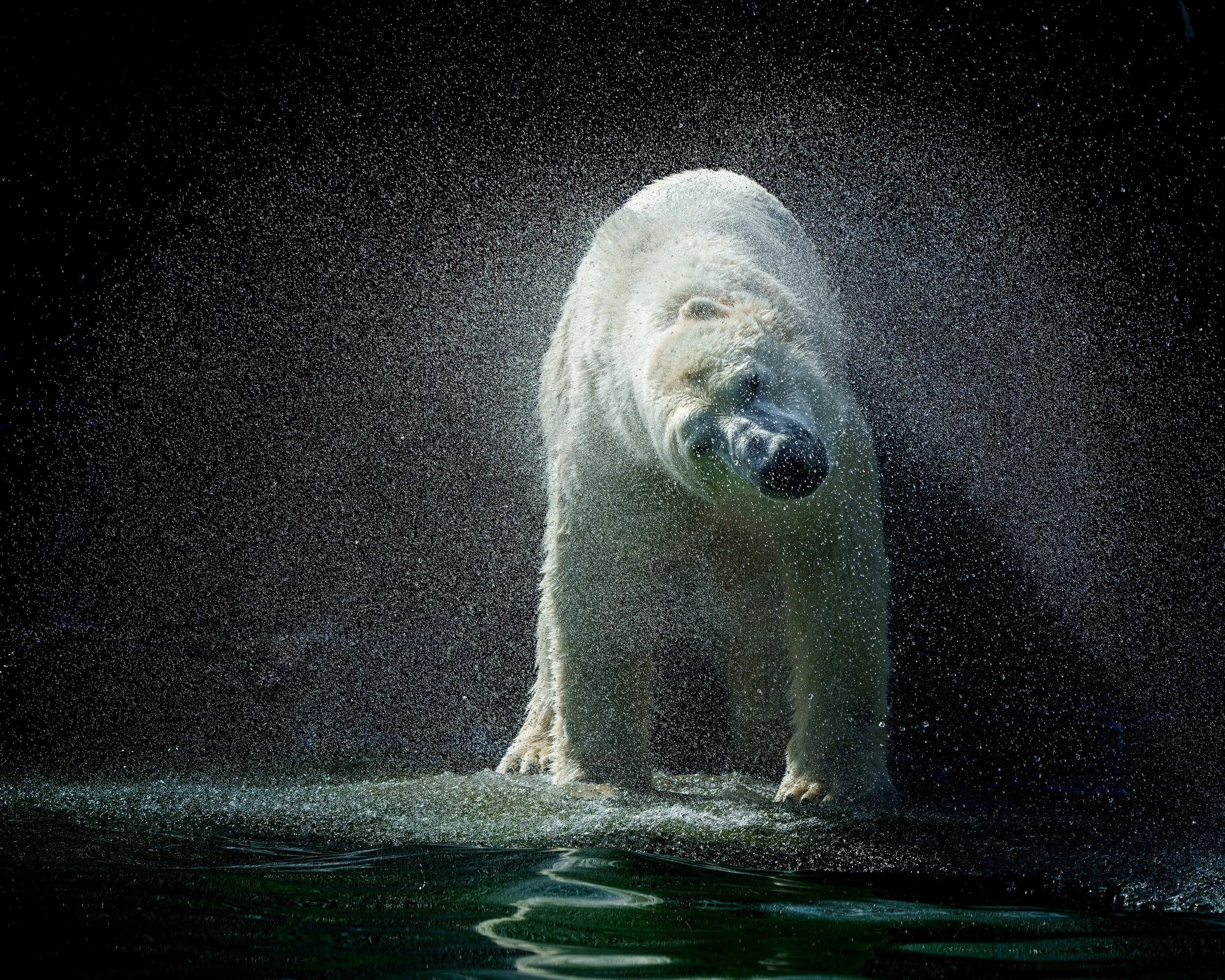 DSC07829-ARW_DxO_DeepPRIME kopie.jpg