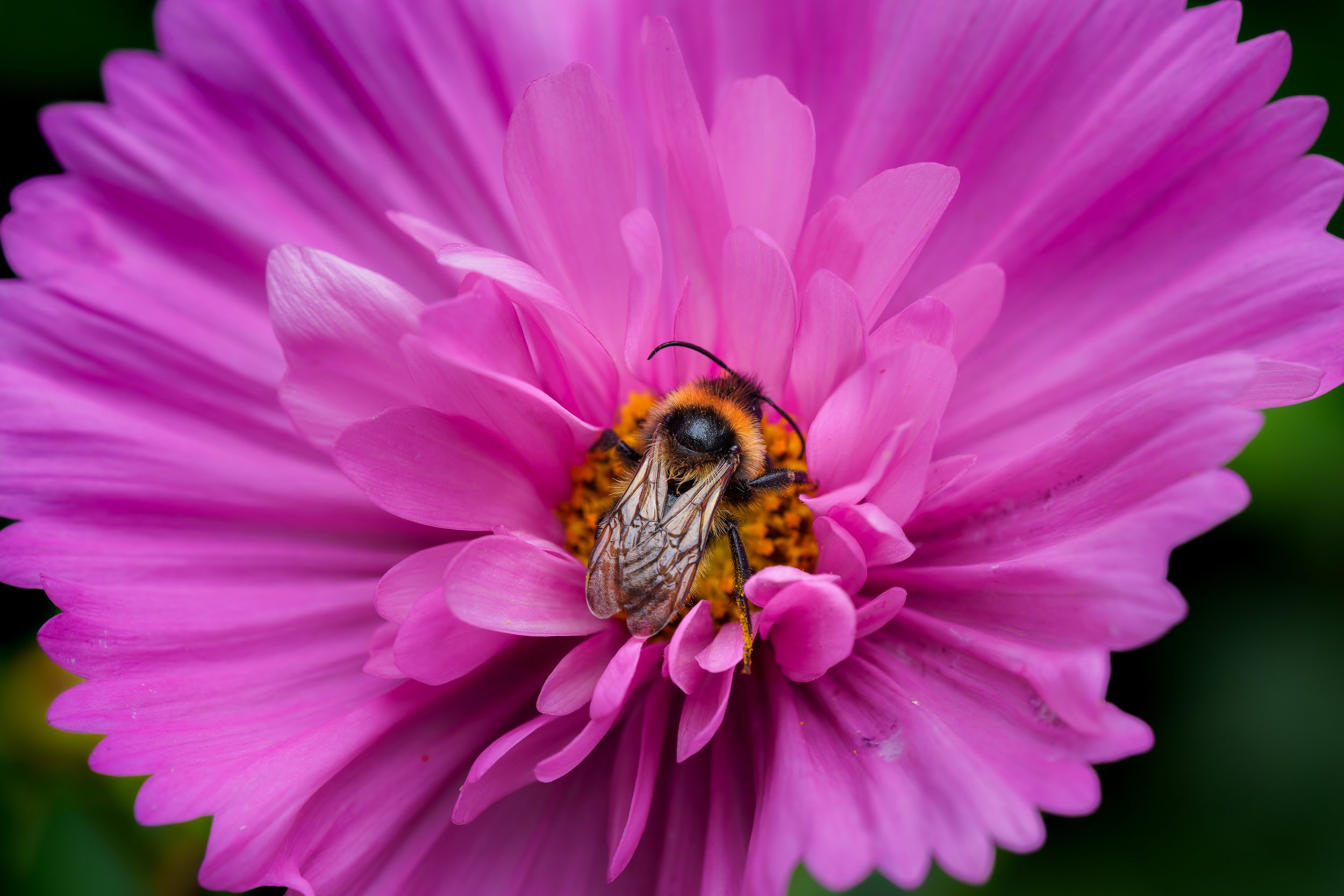 DSC01345-ARW_DxO_DeepPRIME.jpg