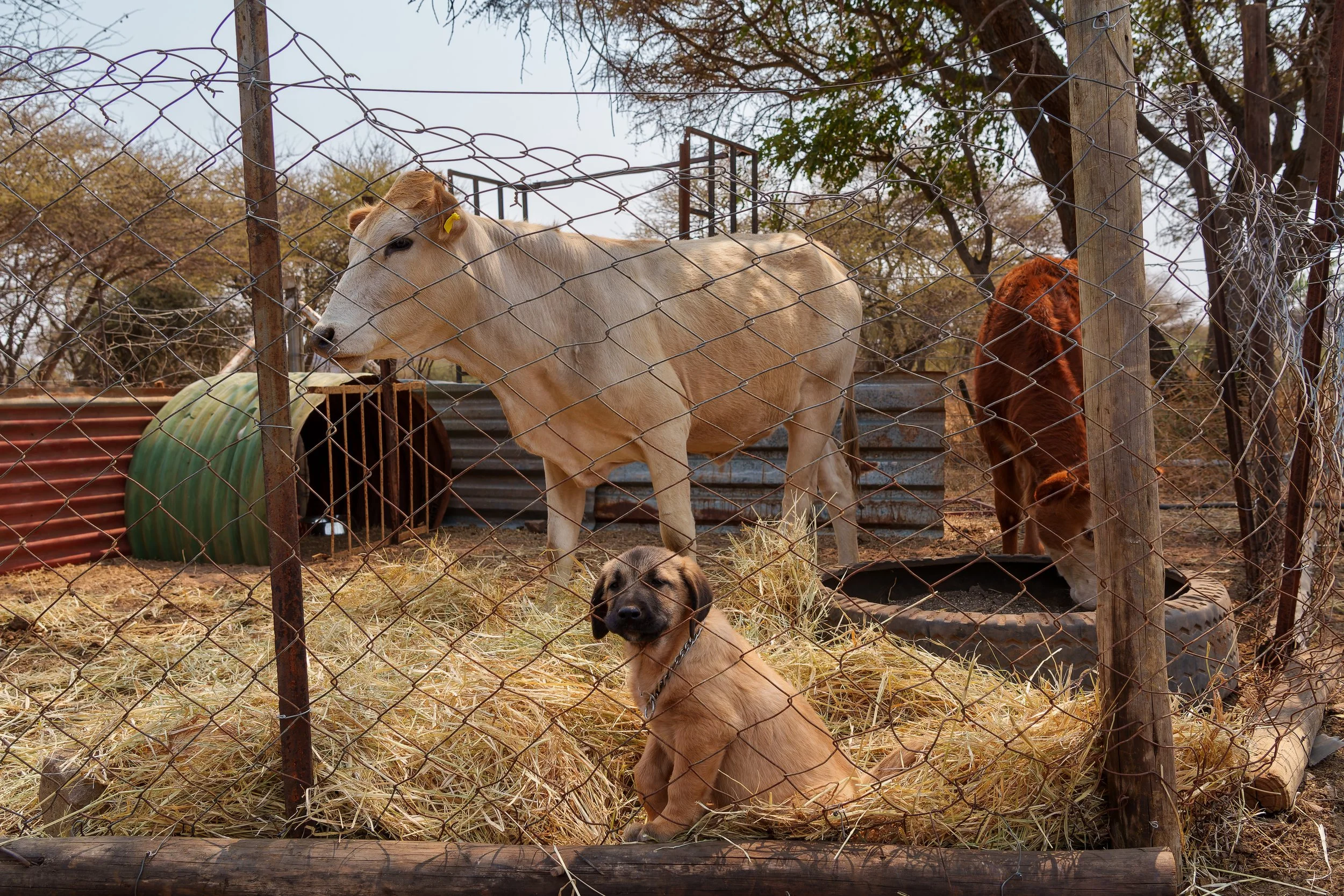 DSC01325-ARW_DxO_DeepPRIME.jpg