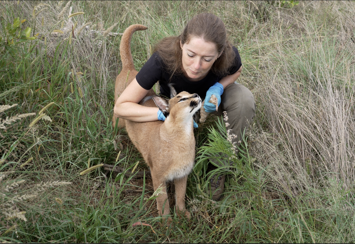 Scherm­afbeelding 2025-03-27 om 14.03.16.png