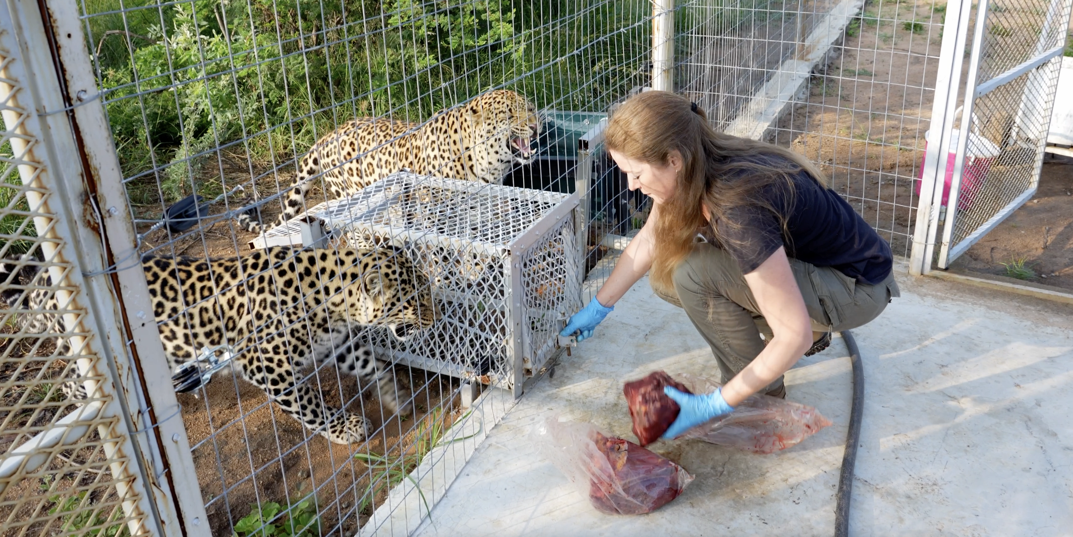 Scherm­afbeelding 2025-03-19 om 16.01.59.png