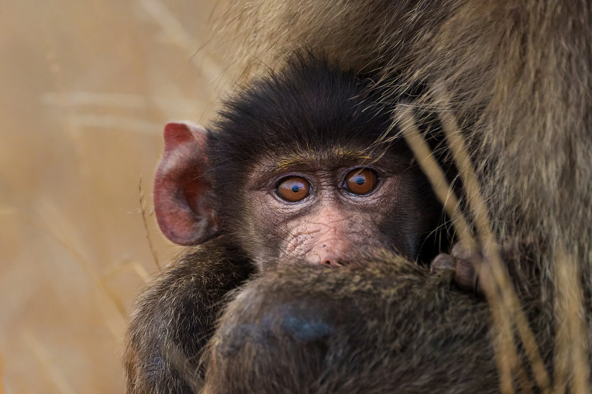 DSC03912-ARW NIET INGESTUURD.jpg