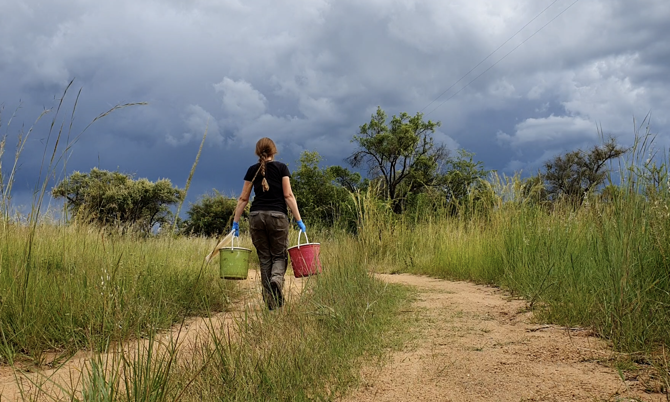 Scherm­afbeelding 2025-03-29 om 12.31.05.png