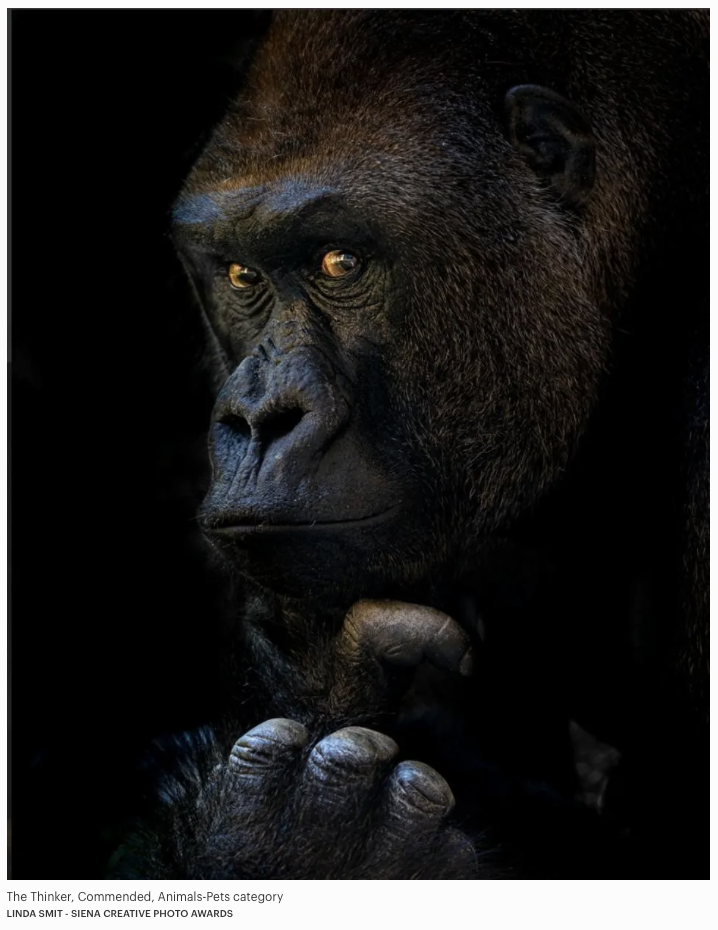 Scherm­afbeelding 2026-03-15 om 13.03.16.png