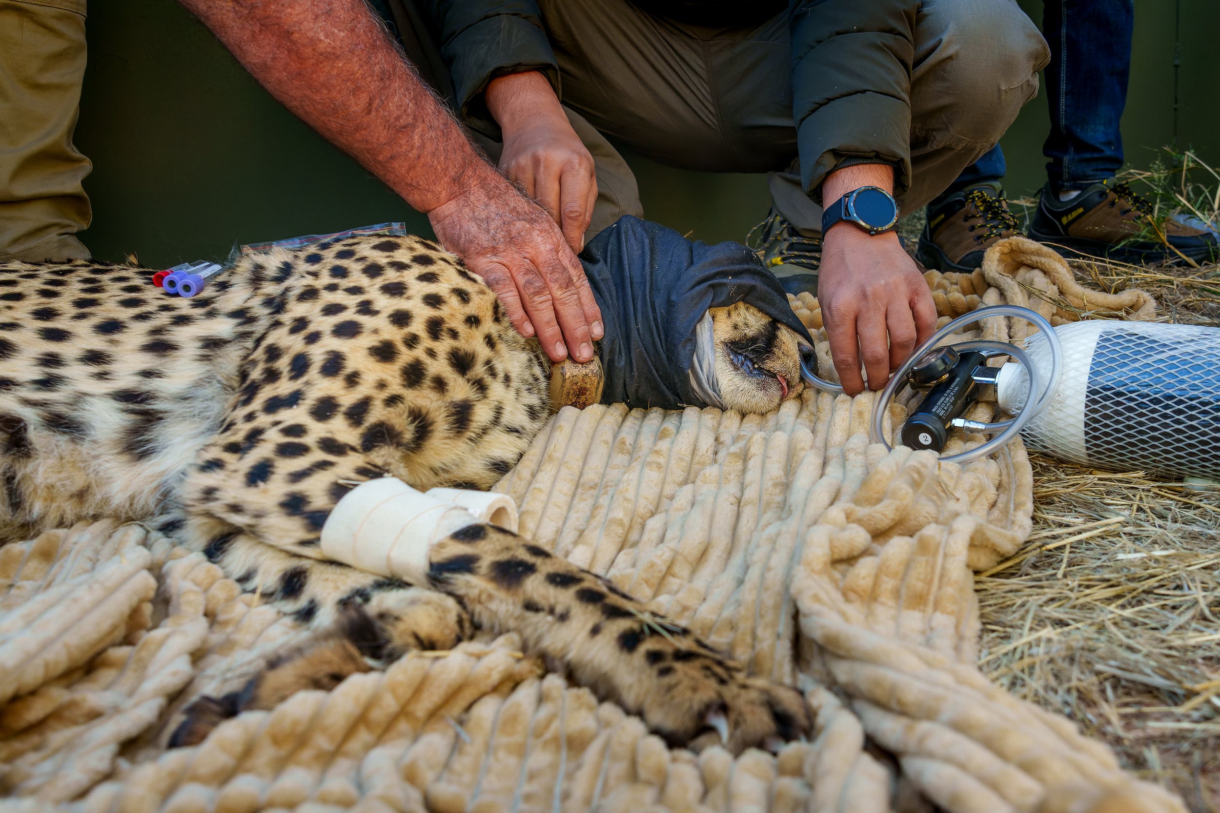 DSC04760-ARW_DxO_DeepPRIME.jpg