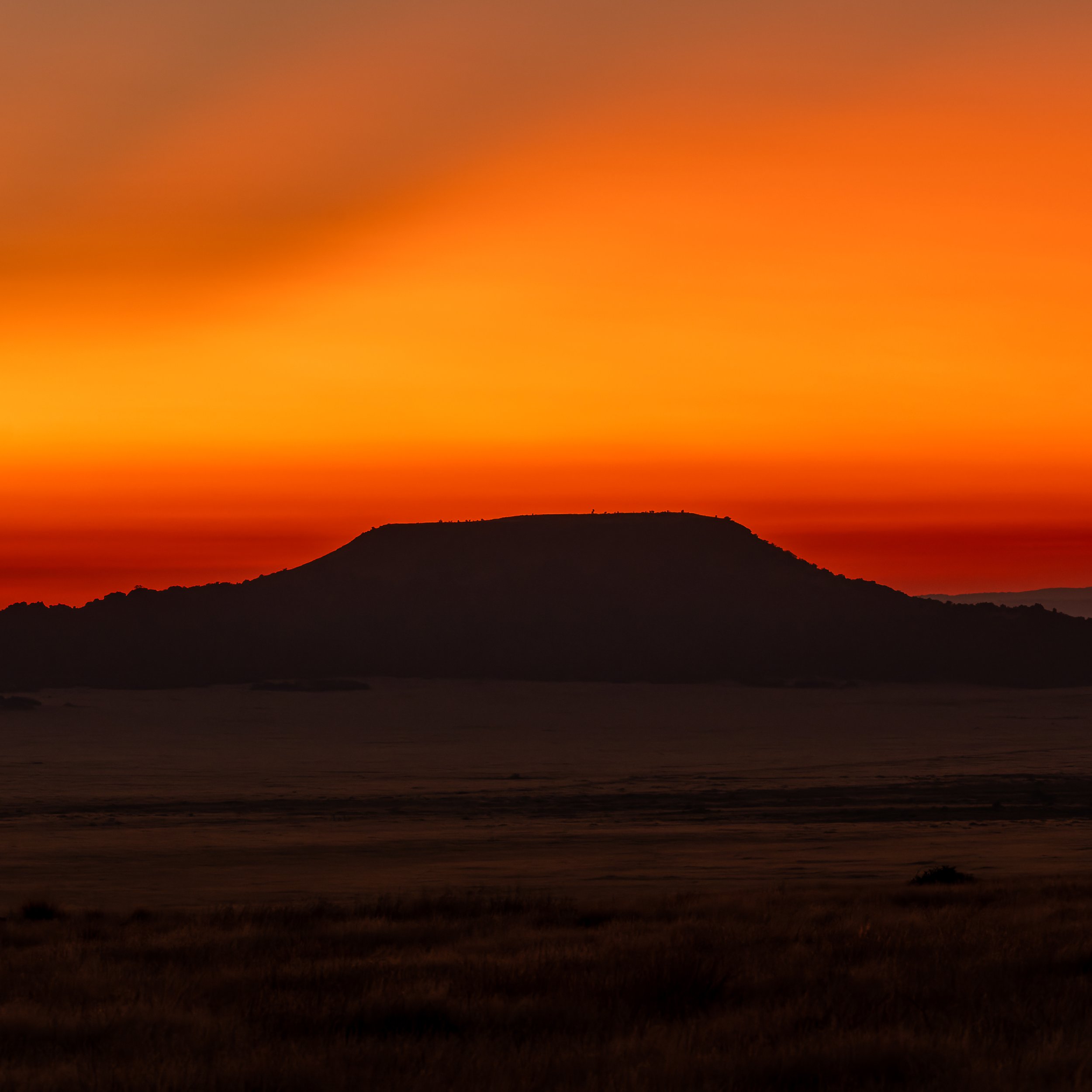 DSC03645-ARW_DxO_DeepPRIME.jpg