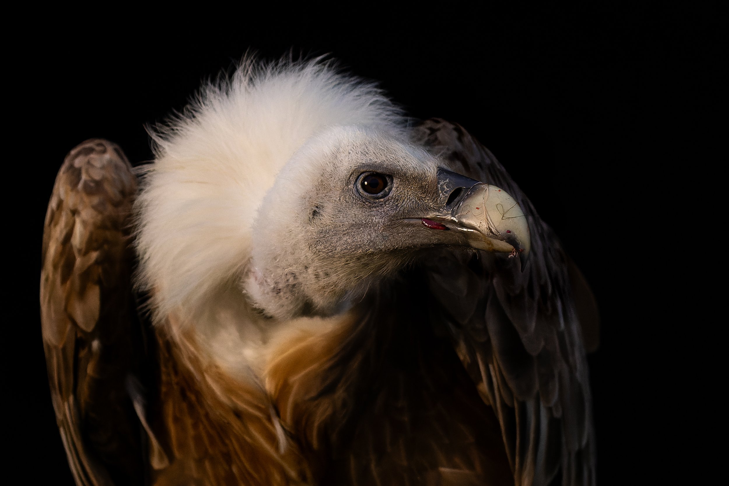 DSC06578-ARW_DxO_DeepPRIME.jpg