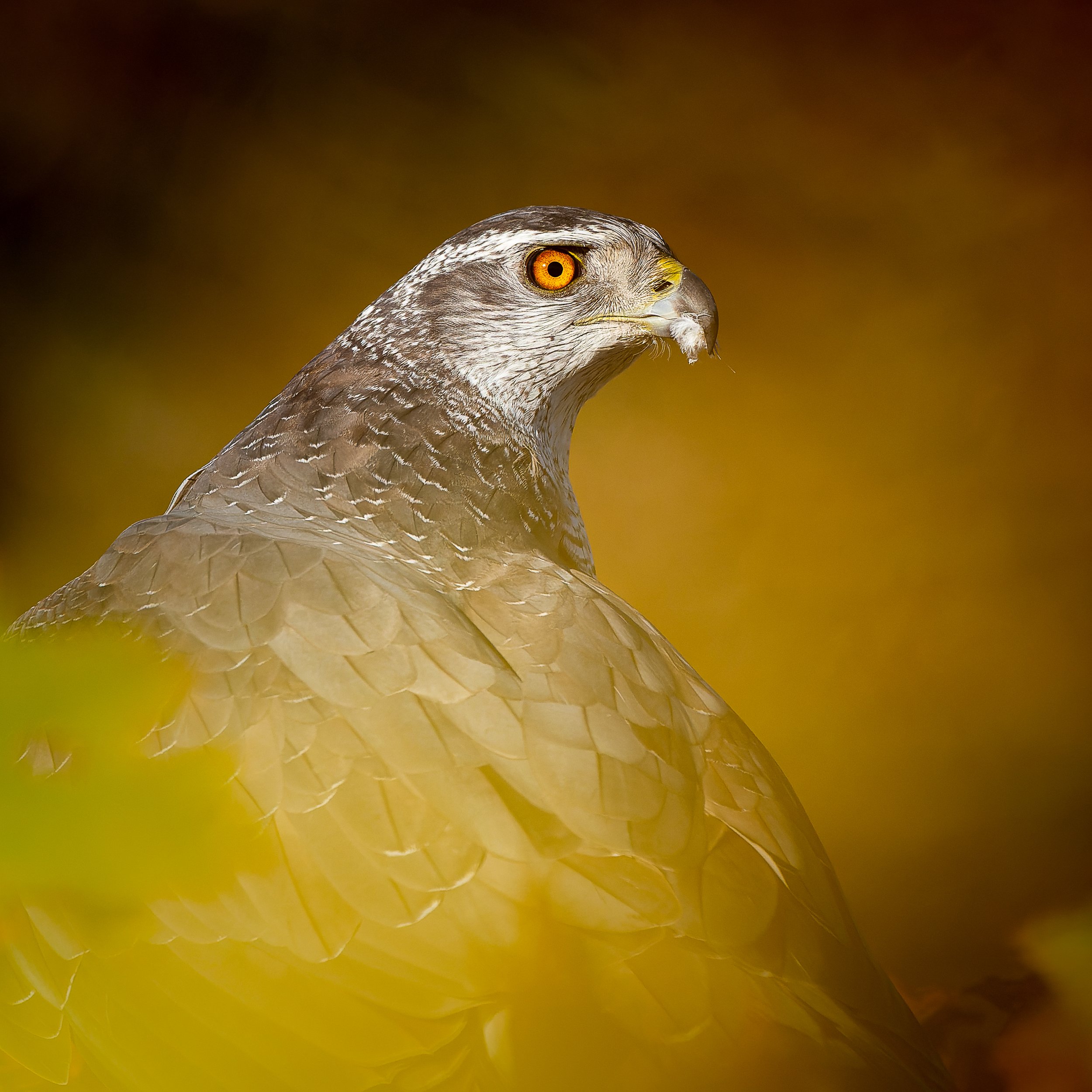 DSC01700-ARW_DxO_DeepPRIME.jpg