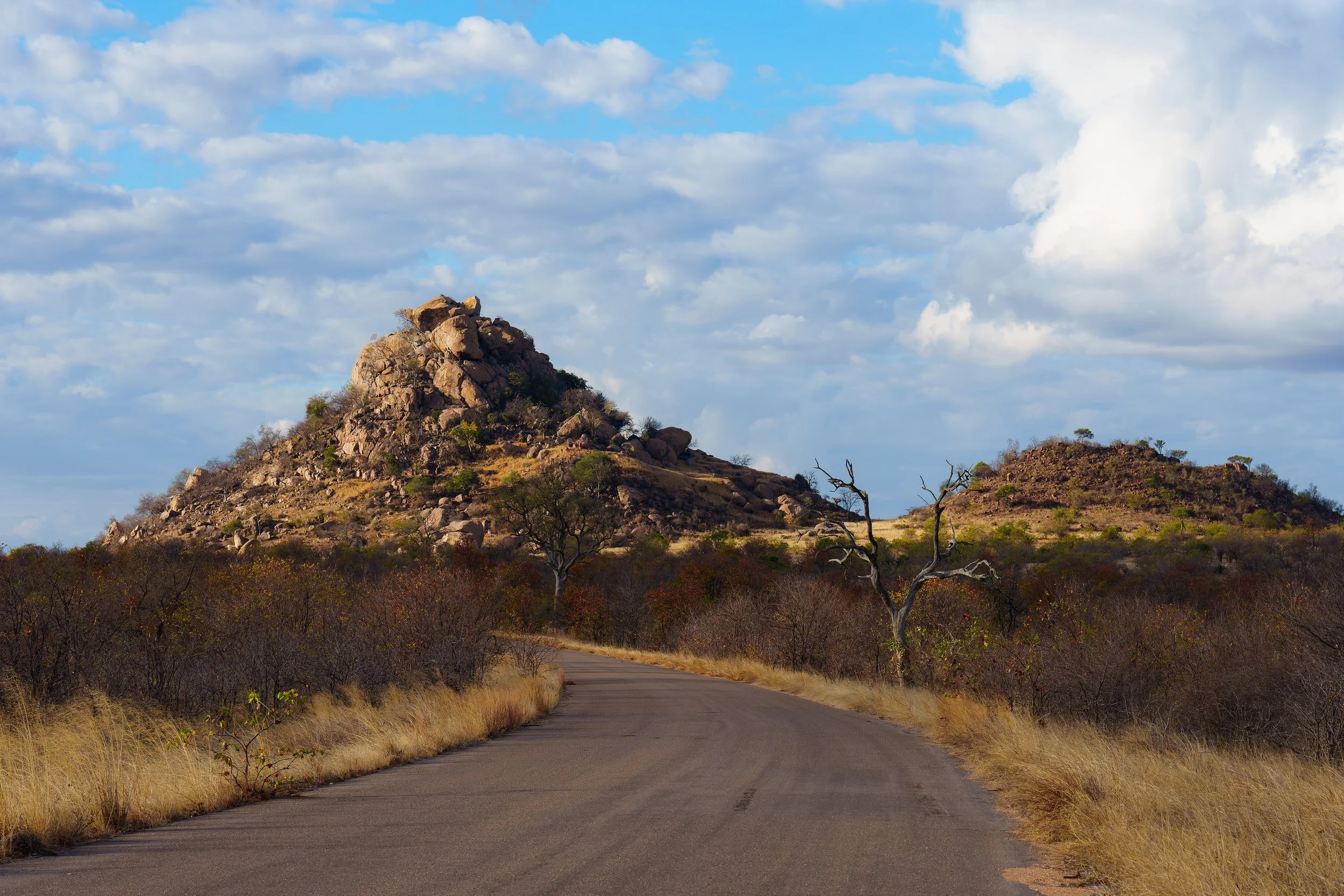 DSC09537-ARW_DxO_DeepPRIME.jpg