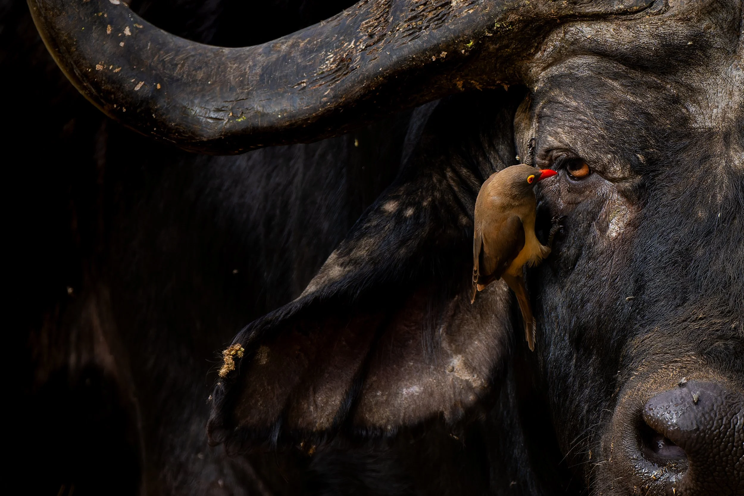 DSC09848-ARW_DxO_DeepPRIME.jpg