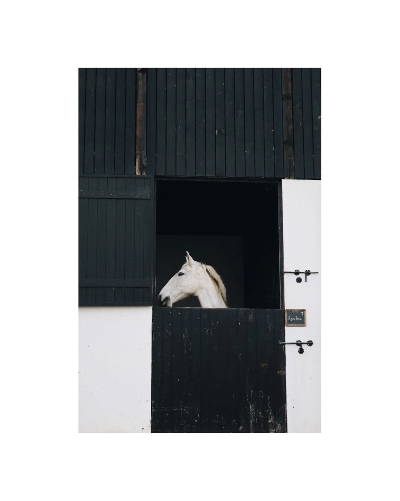 Pure elegance at @torredepalma - there was great wine too 🍷

#wine #horse #design #photographer #horsesofinstagram #horselove #horsephotographer #photo #naturephotography #photographylovers #nature #animal #equestrian #hotelportugal #blackandwhite #