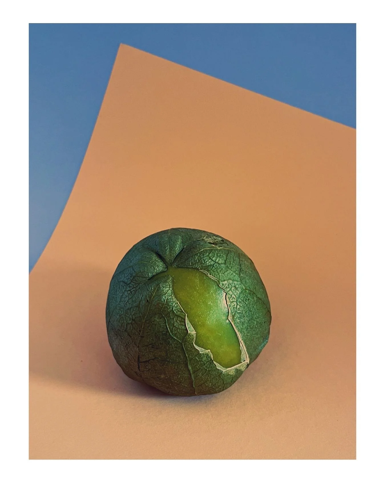 Played around with some exotic fruits yesterday - what do you think that is? 

#green #fruit #vegetable #blue #70sstyle #photography #photooftheday #photographers #minimalstyle #minimalart #minimalphoto #photographer #retro #design #artgallery #artco