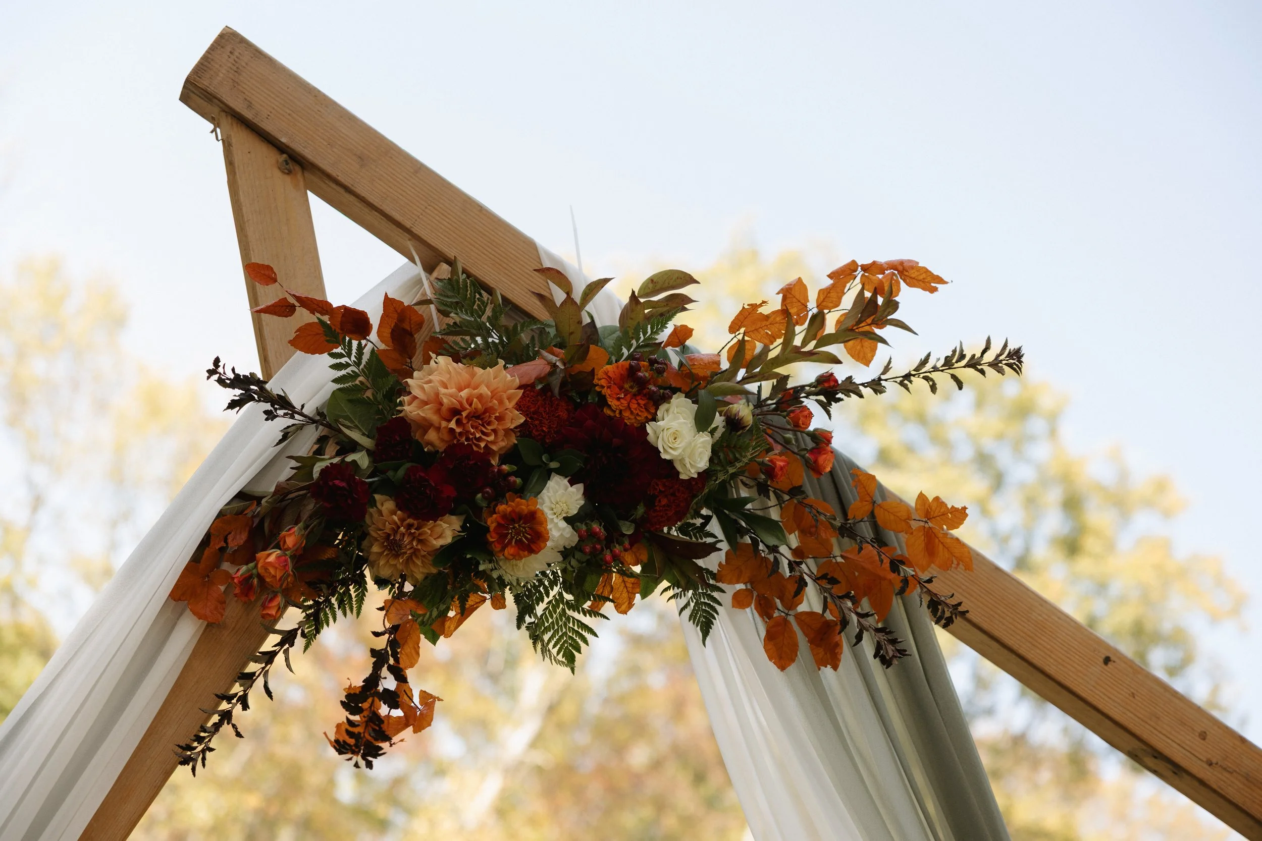 Photographer: Amber Rae Photography