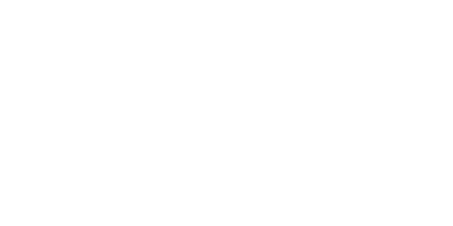 Viisionary Studio