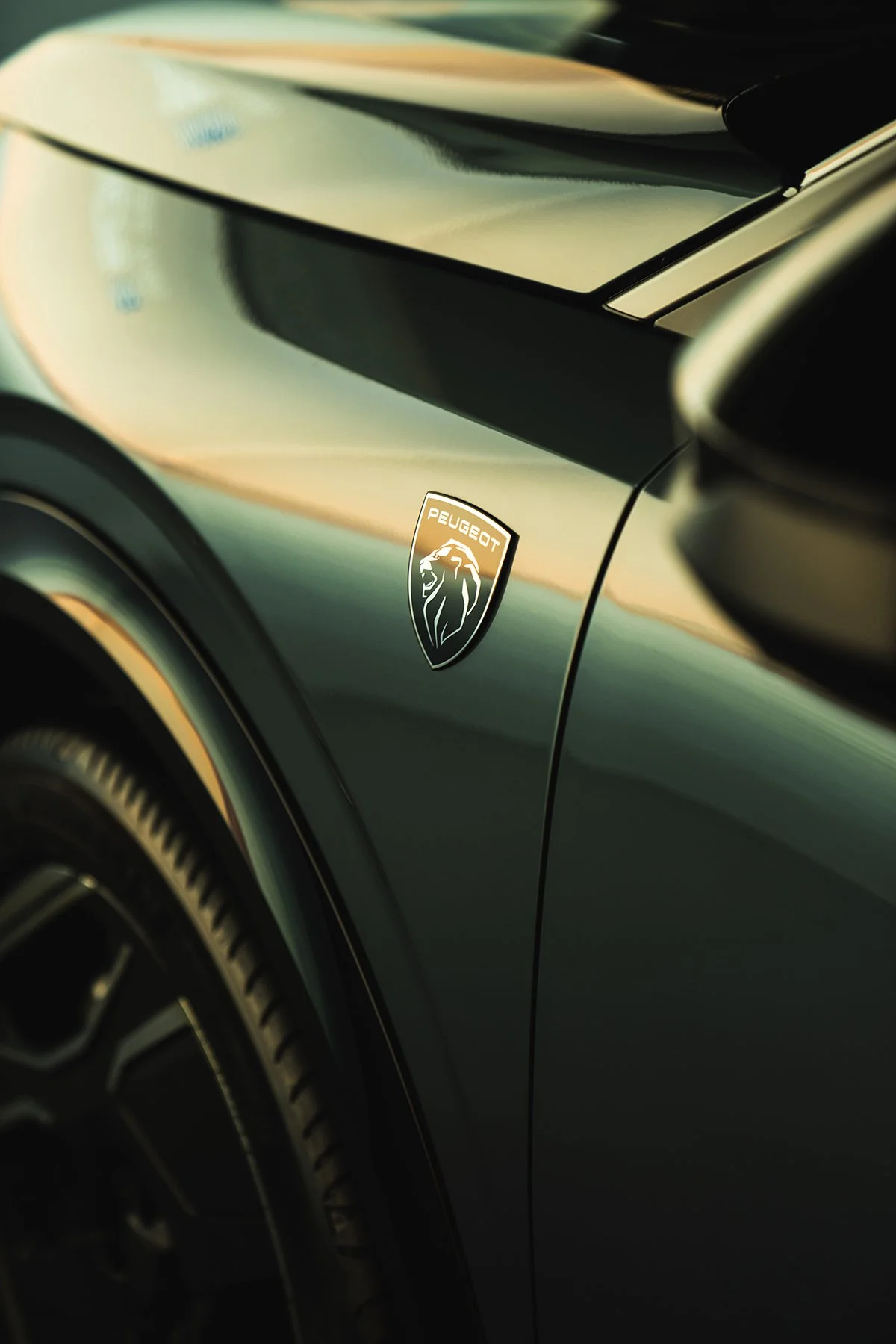 PEUGEOT_LQ_1.jpg