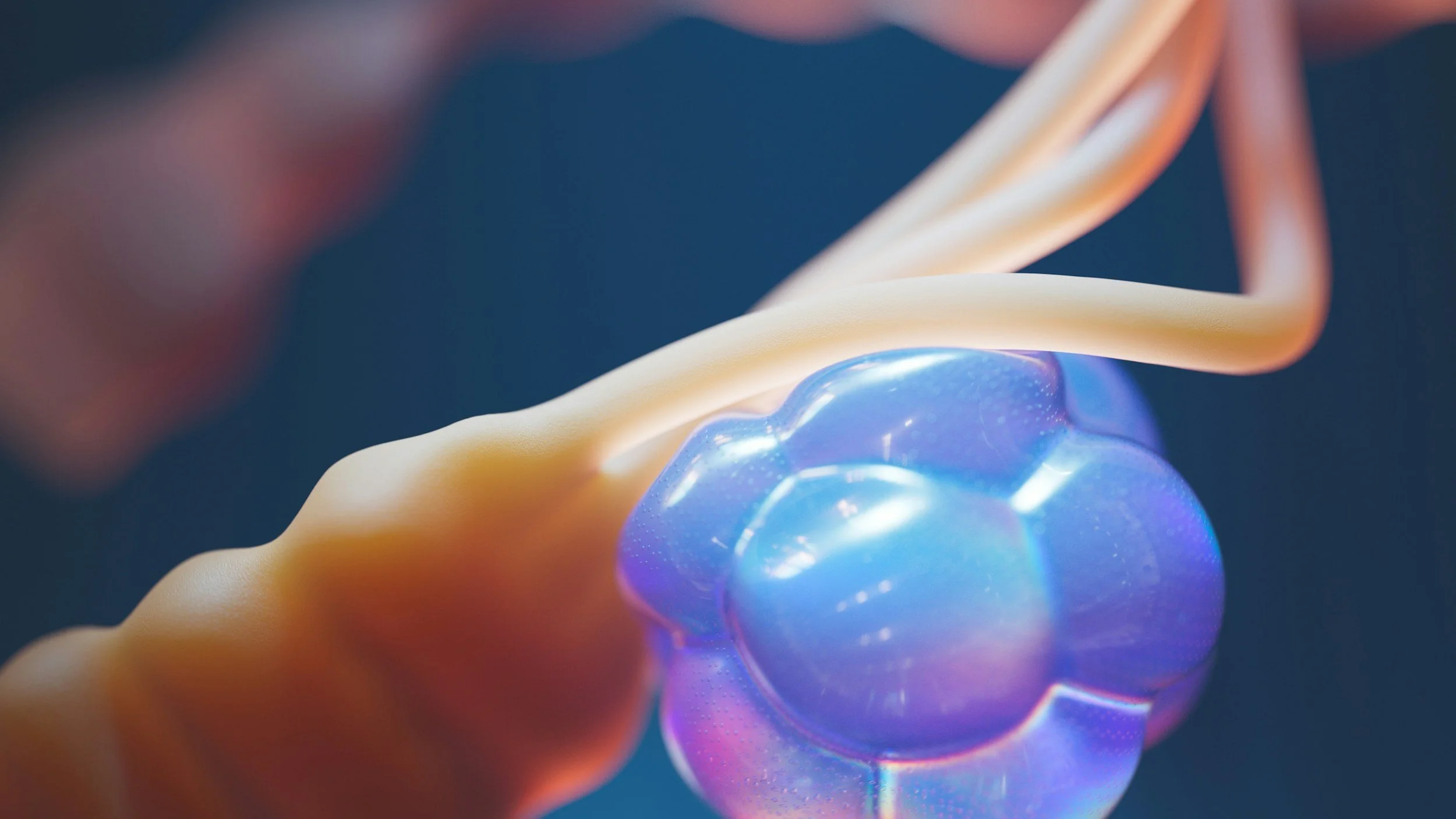 protein binding to dna