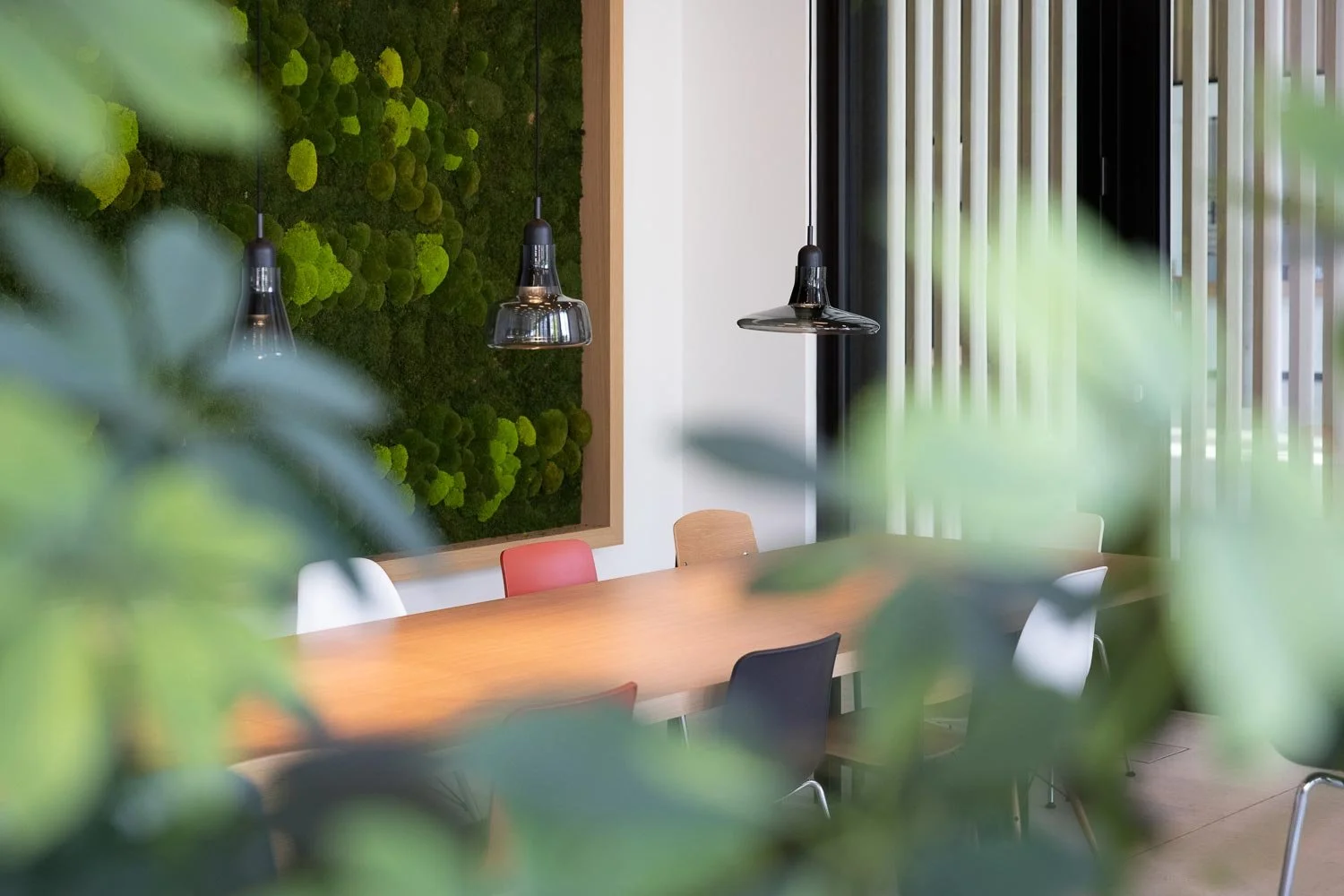 Detailfoto einer Mooswand in einer Social Dining Area, fokussiert auf die Brokis Shadows Exterior Pendelleuchten über einem Holztisch.