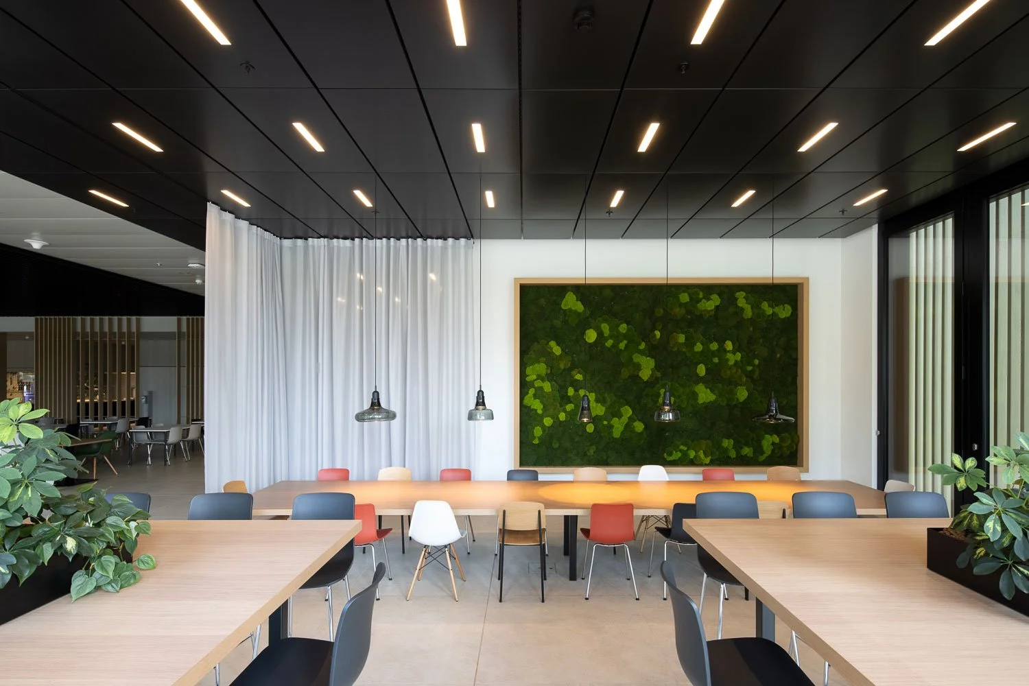 Innenarchitekturaufnahme eines modernen Kantinen- und Essbereichs mit langem massiven Holztisch, linearen Brokis Shadows Pendelleuchten und großflächiger Mooswand. 