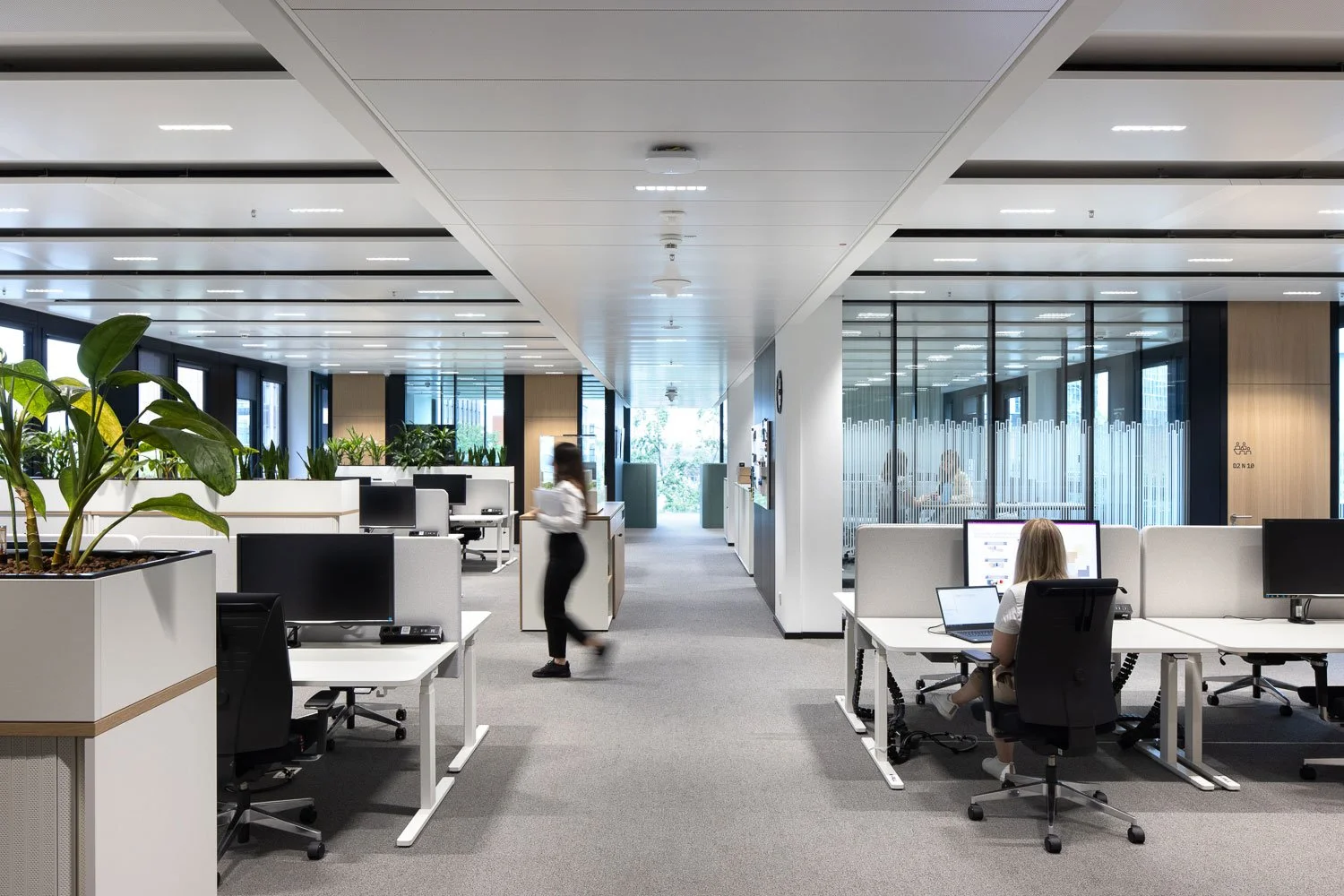 Architekturfotografie einer modernen Open Space Bürolandschaft mit ergonomischen Arbeitsplätzen, weißen höhenverstellbaren Schreibtischen und grünen Pflanzen entlang eines zentralen Gangs.