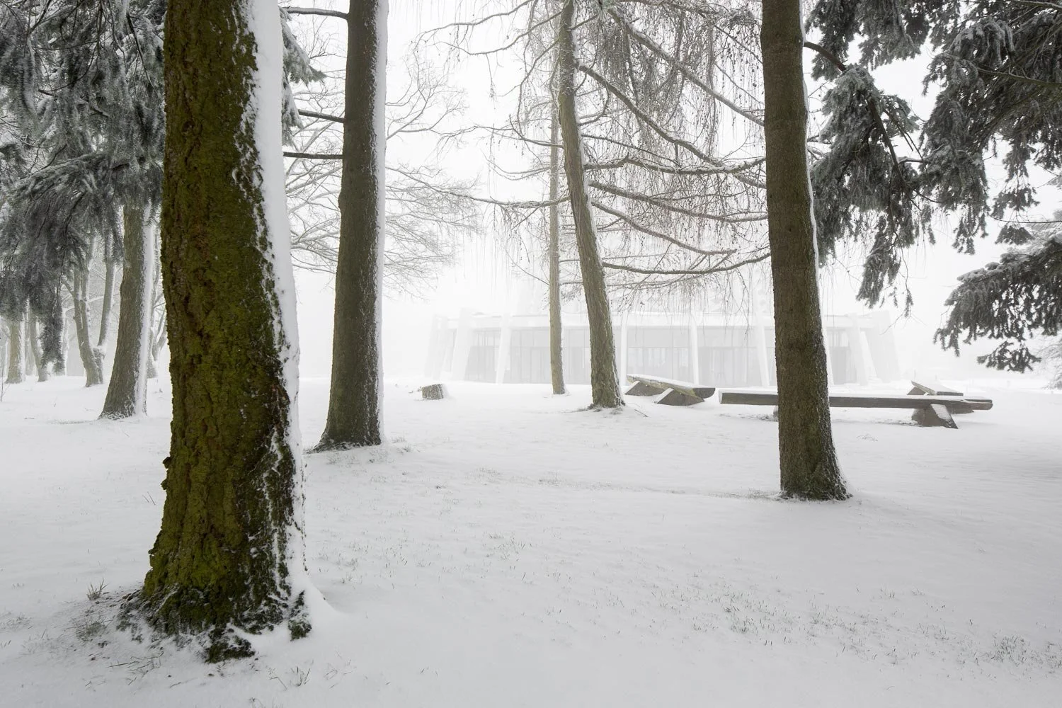 Landschaftsfotografie des Bahá'í Hauses der Andacht im Nebel. Verschneite Baumstämme im Vordergrund rahmen den hellen Stahlbetonbau ein und erzeugen eine andächtige Atmosphäre im winterlichen Umfeld.