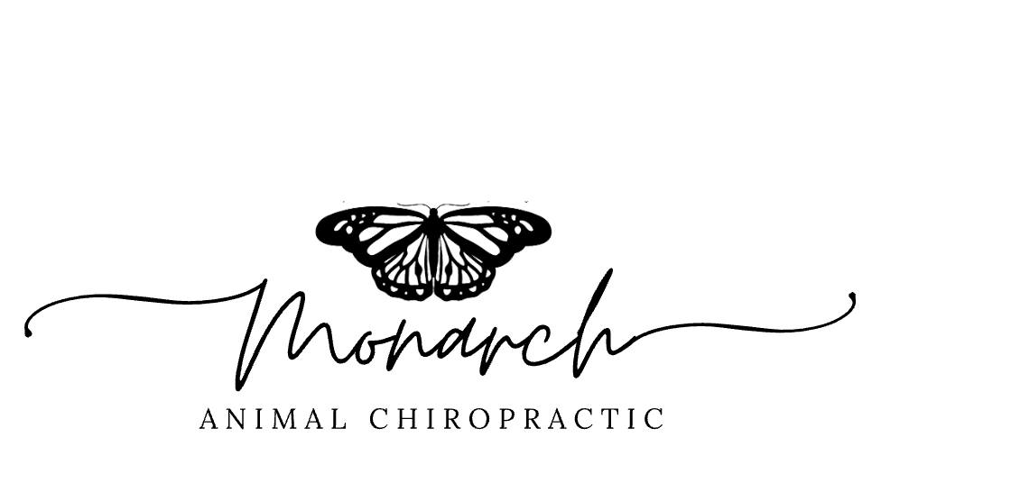 Screenshot 2026-03-01 at 9.10.04 AM.png