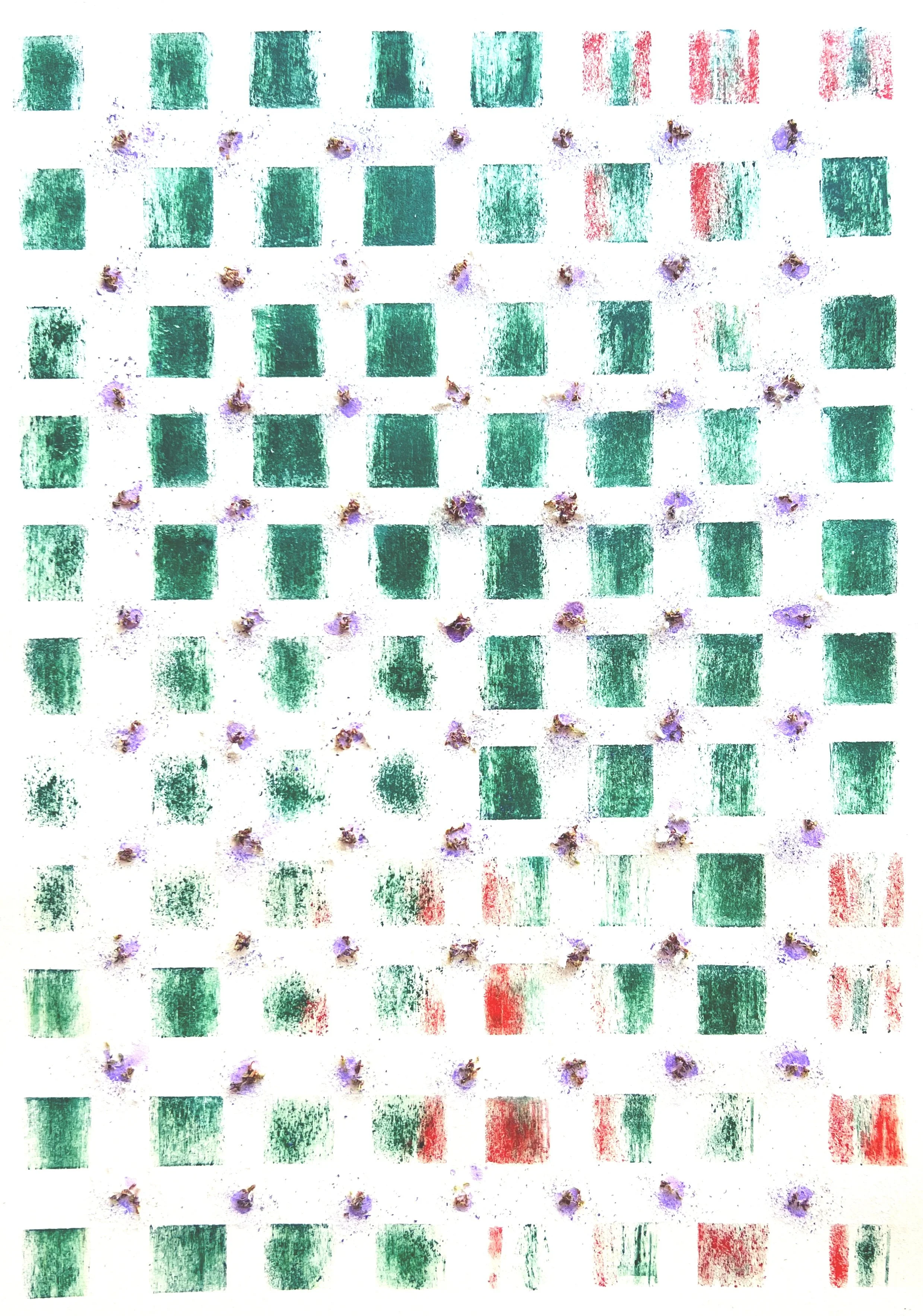 bed 2,
seeds and color pencil on paper,
700 x 500 mm