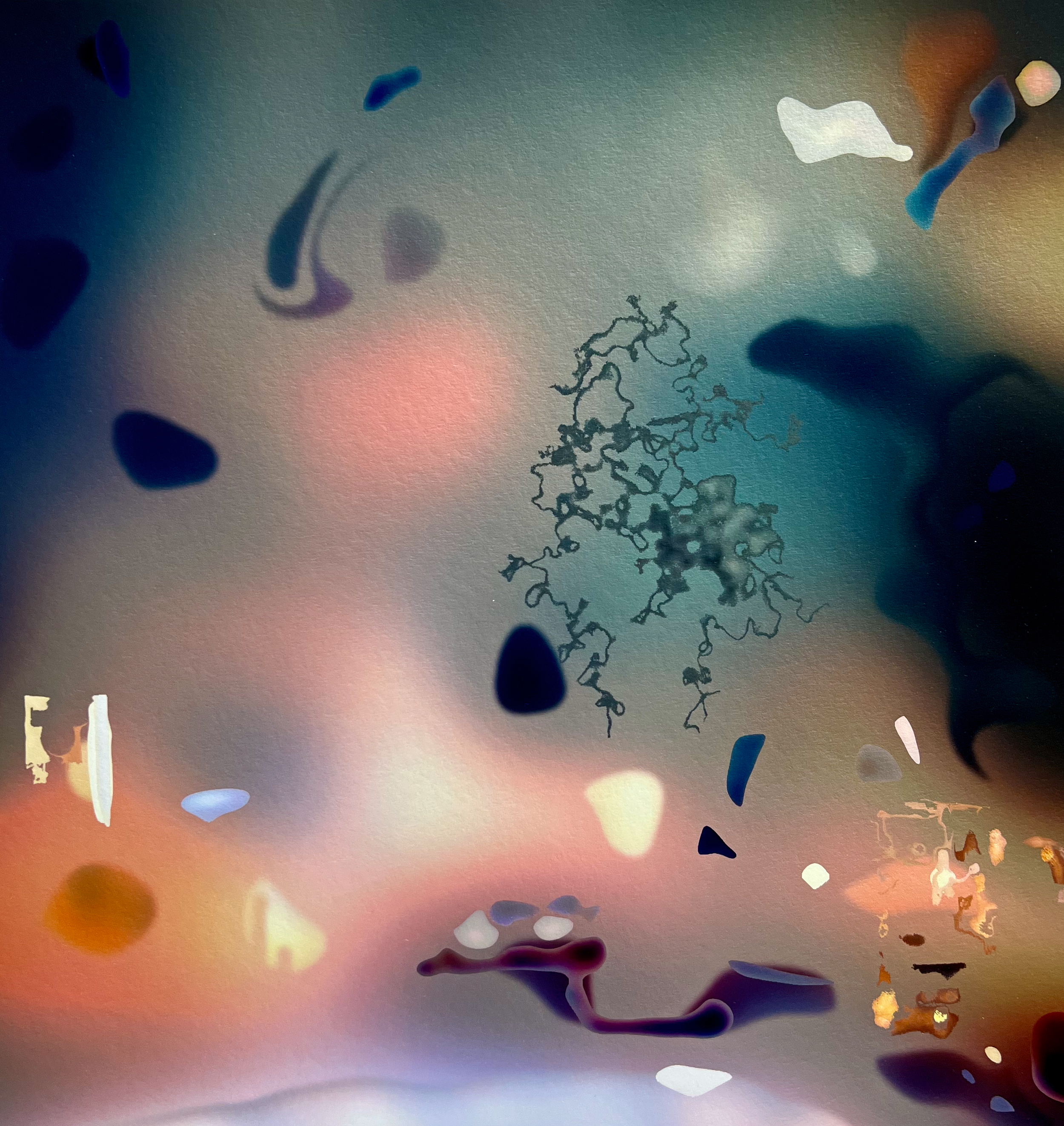 "The bean harvest", 2024. Inkjet print – 42 x 43,2 cm