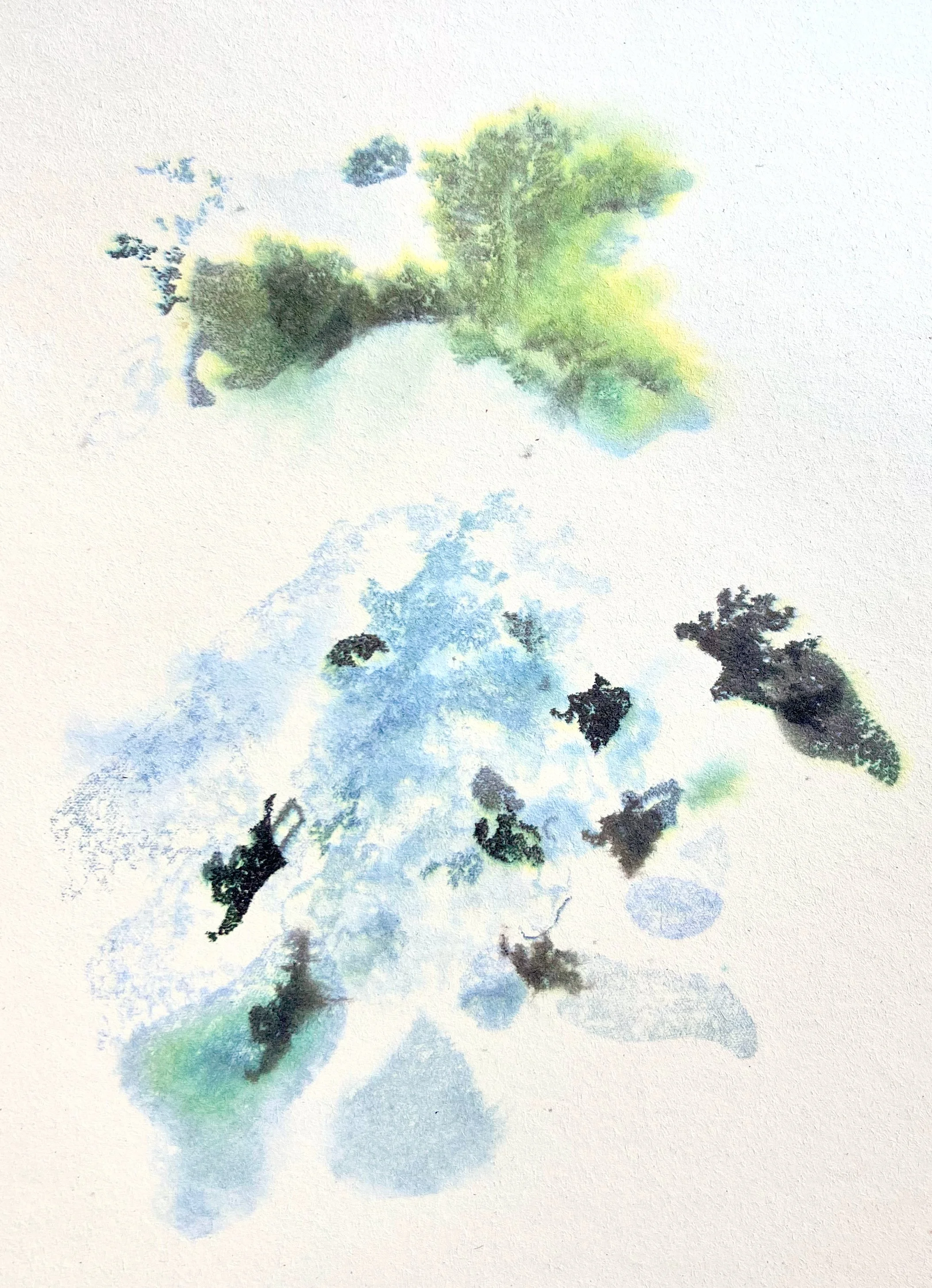 Brassica oleracea var. sabellica, 2025. transfer print on paper – 70 x 50 cm