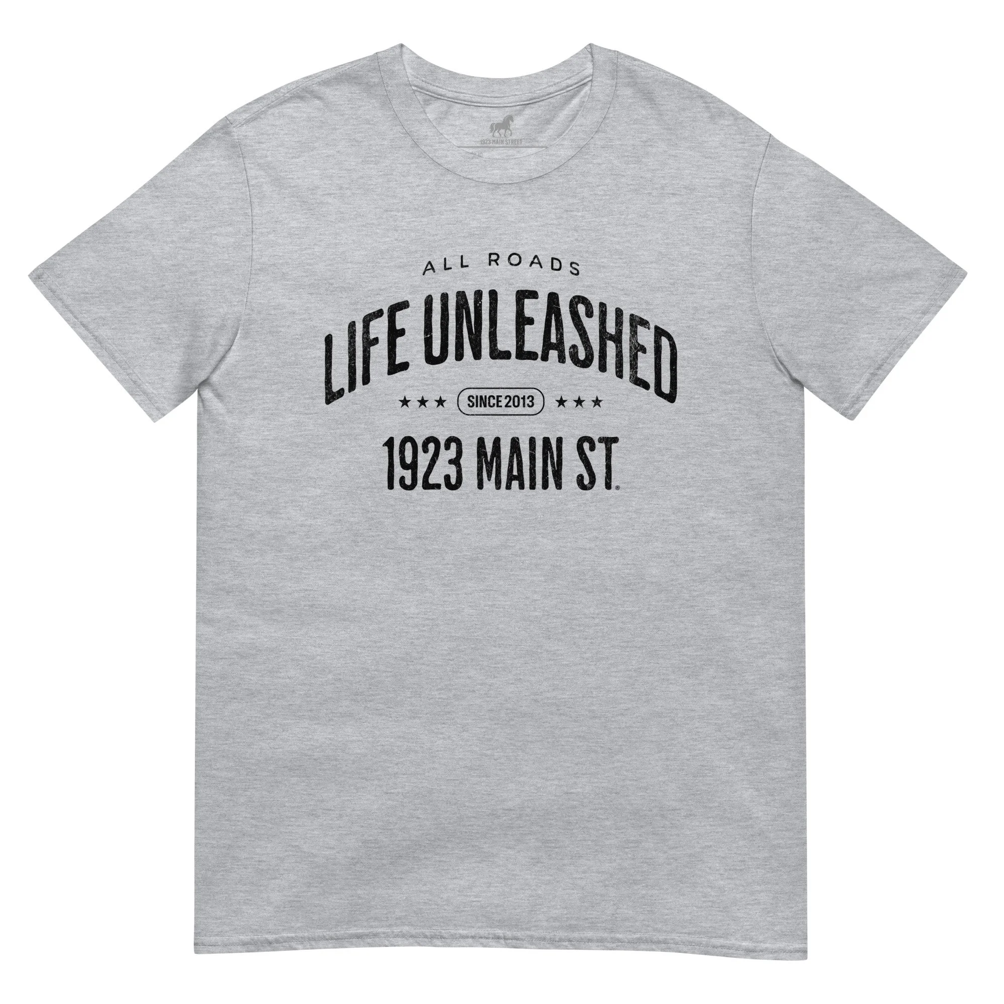 Life Unleashed Arch Skateboard t-shirt sport grey.