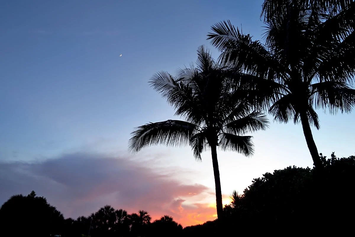 Hot humid Florida summer day.