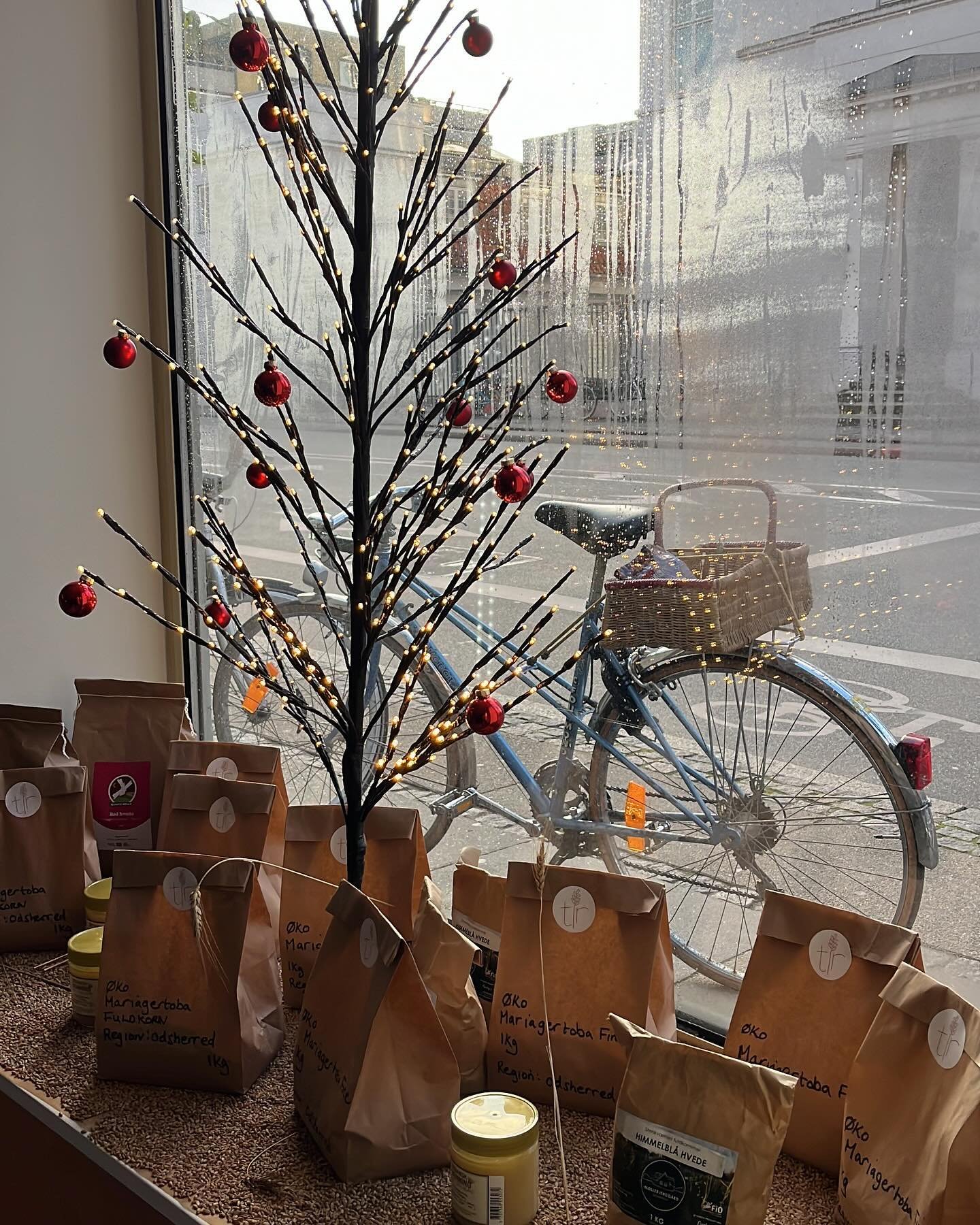 Lucky to get to @tir_bakery seeing a short cycle around Copenhagen picking up exciting pieces. Shop open 10:00 until 15:00 with Katharina, Cinnamon buns and Gl&oslash;gg