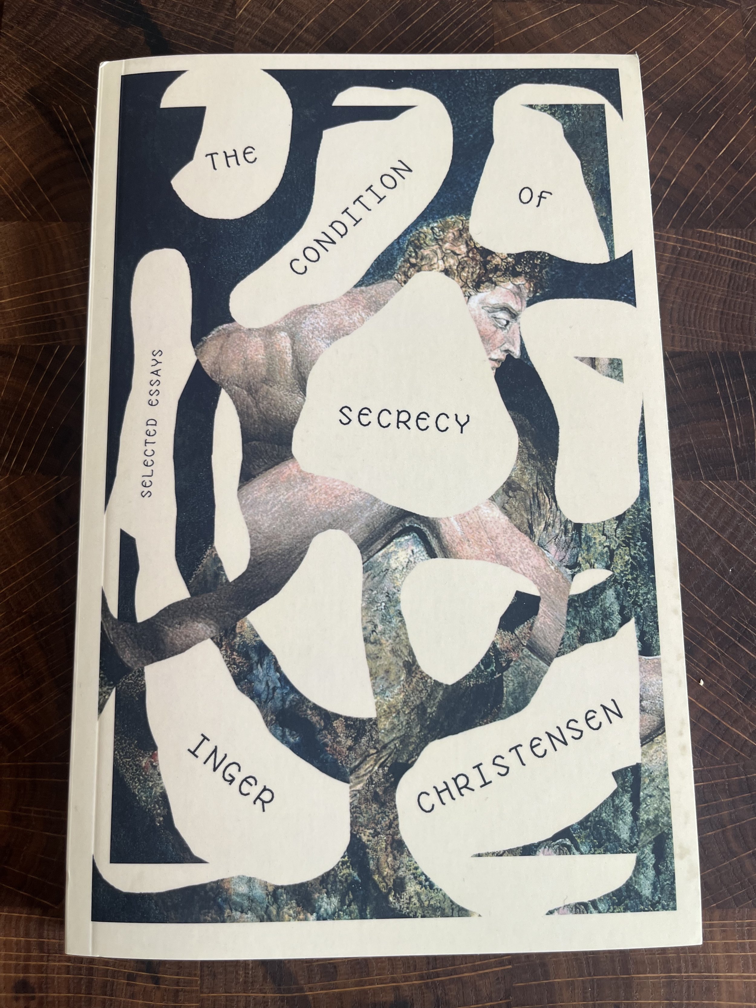 The Condition of Secrecy, selected essays by Inger Christensen