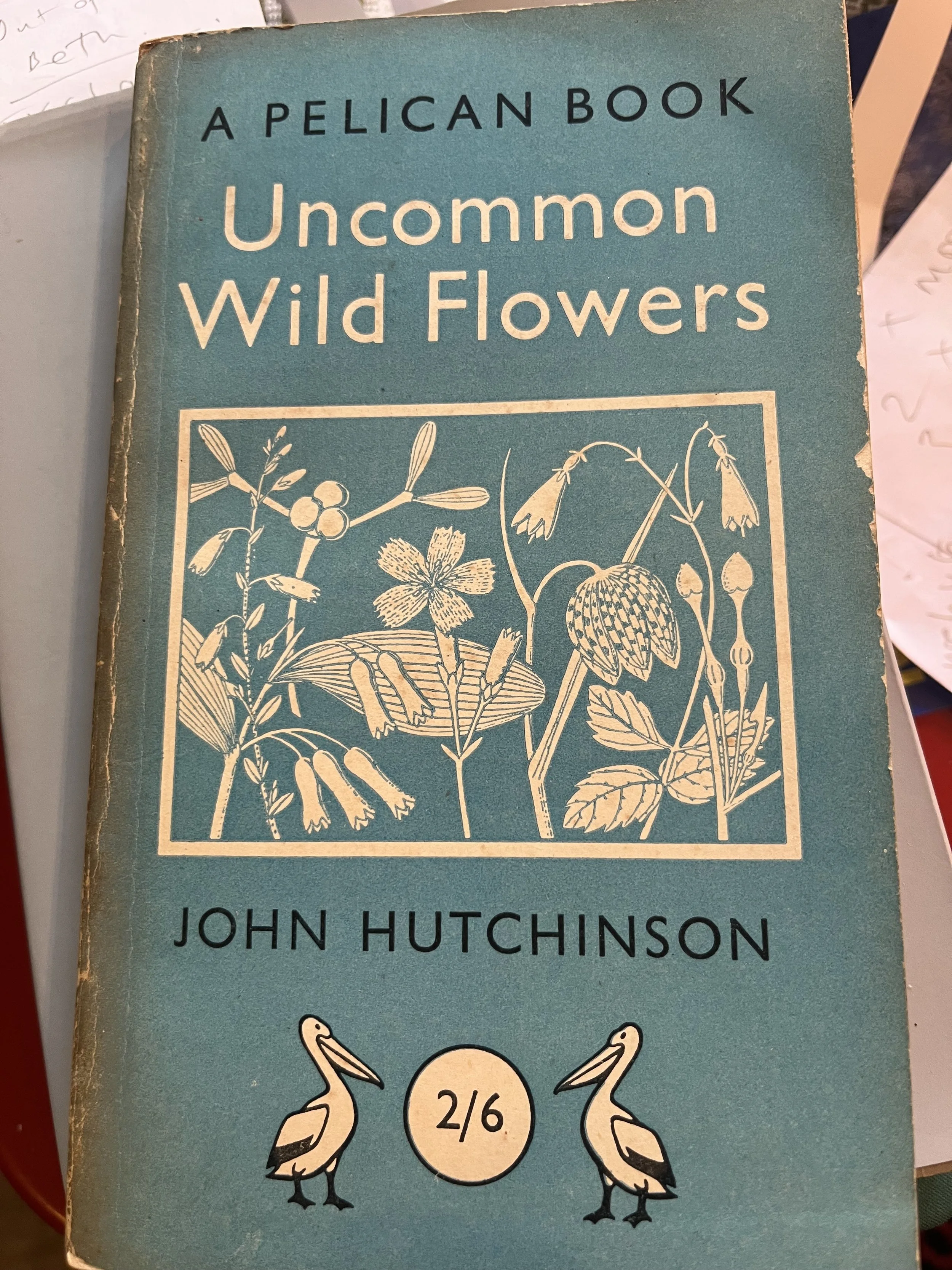 Uncommon Wild Flowers