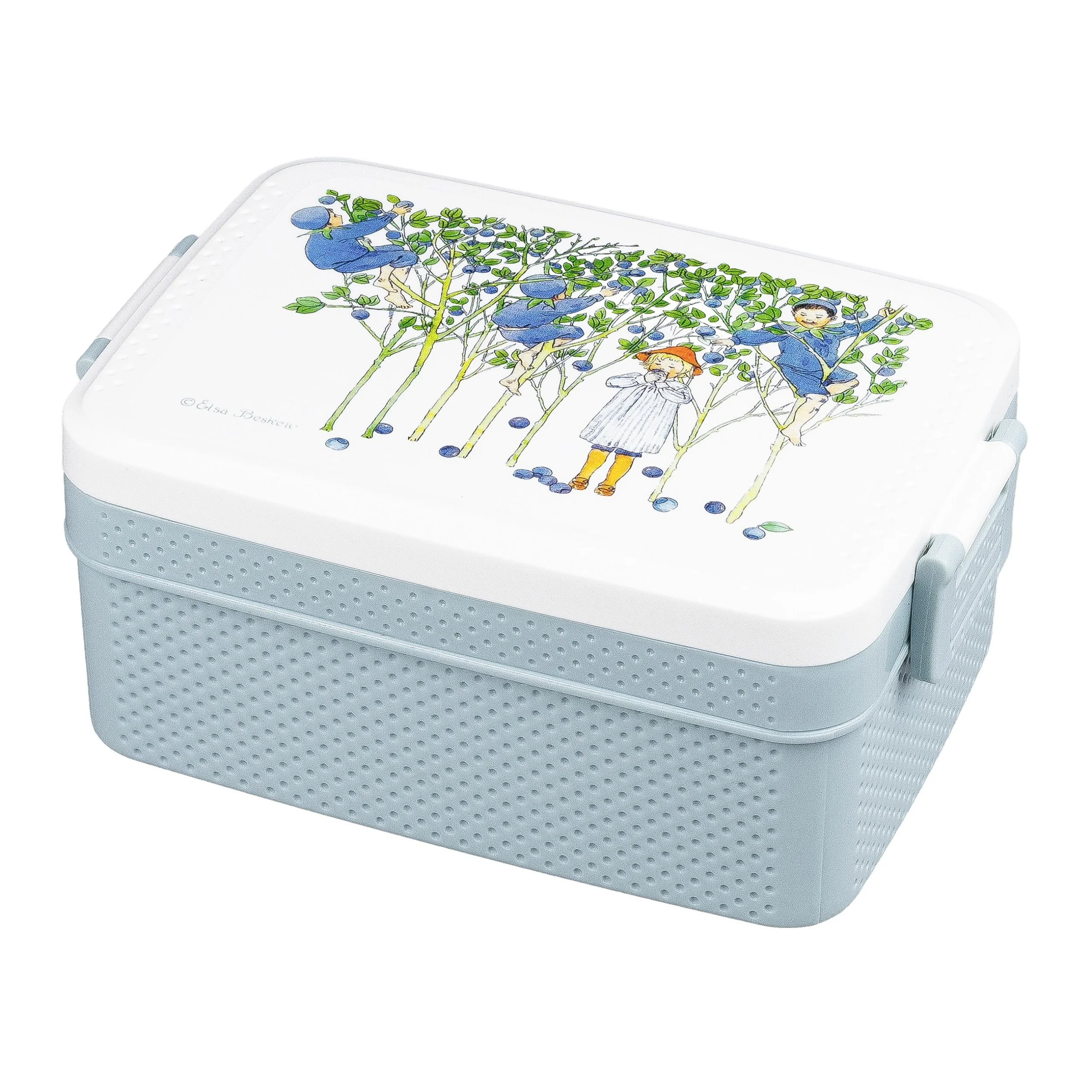 blueberry lunchbox.jpeg