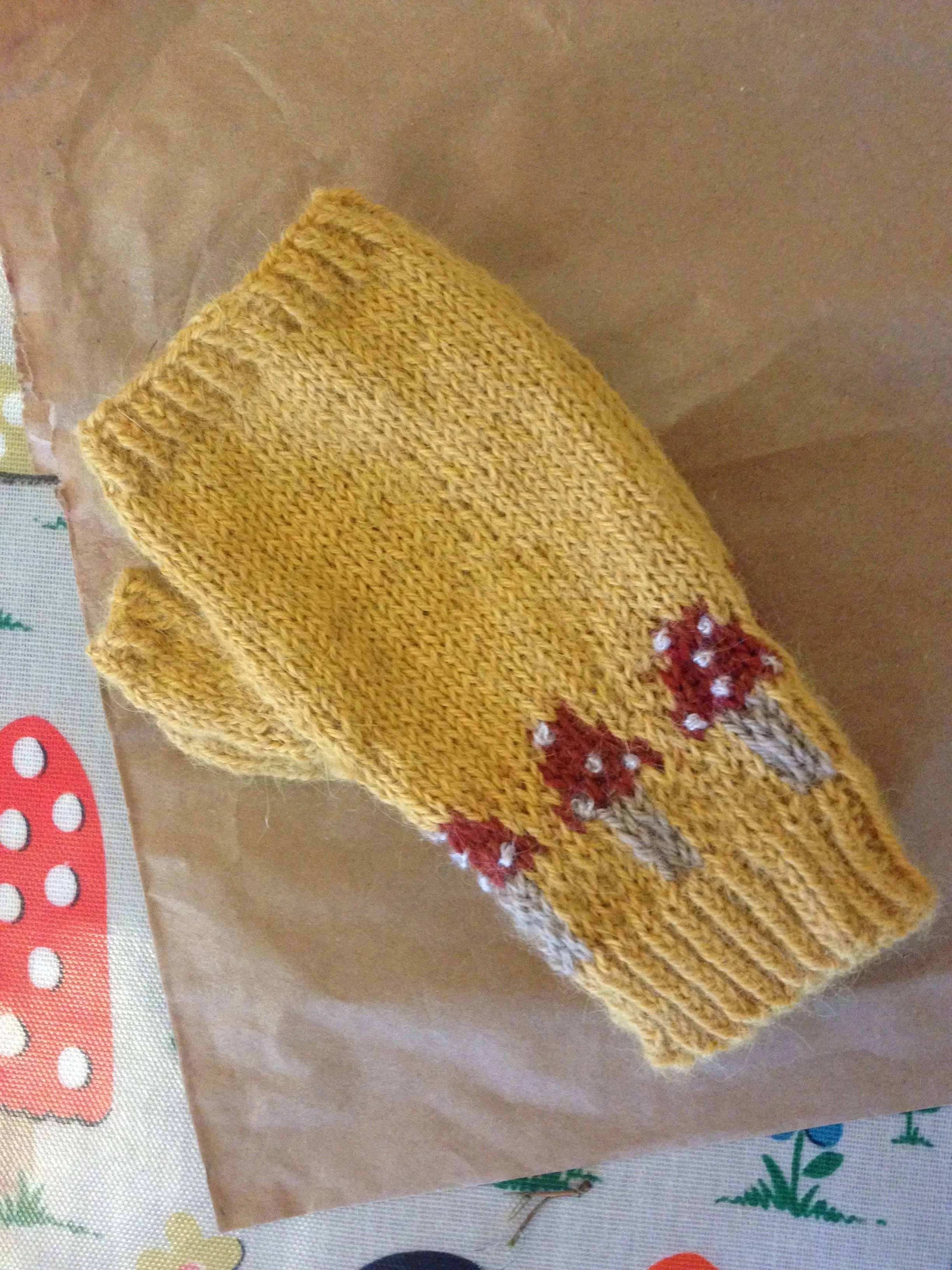 Pair of mittens,  hand knitted  by Rhona Fox