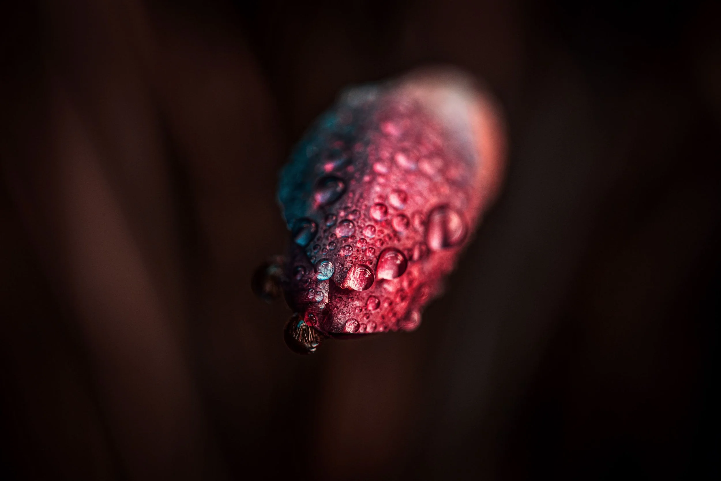 _J1A0437_Ps2_web.jpg