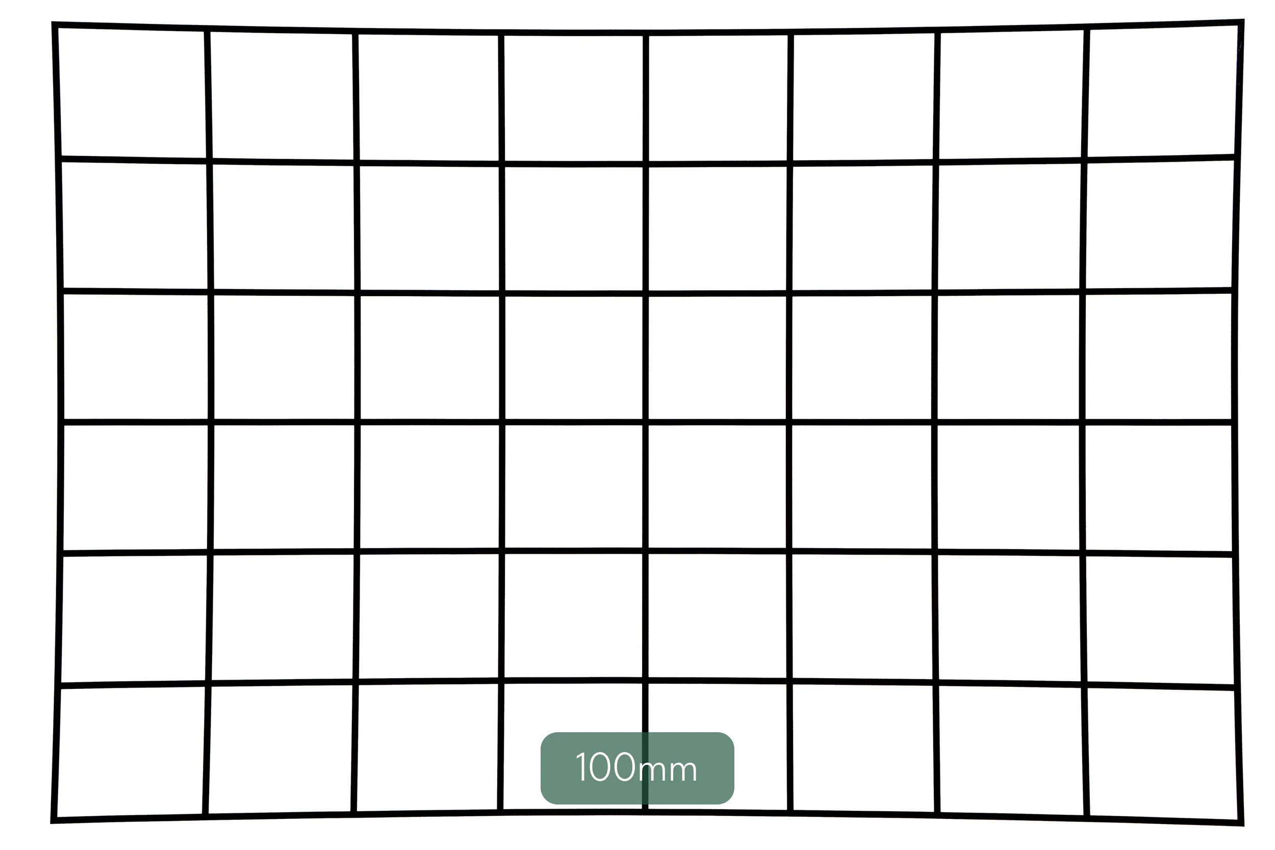 Verzeichnung 100mm.jpg