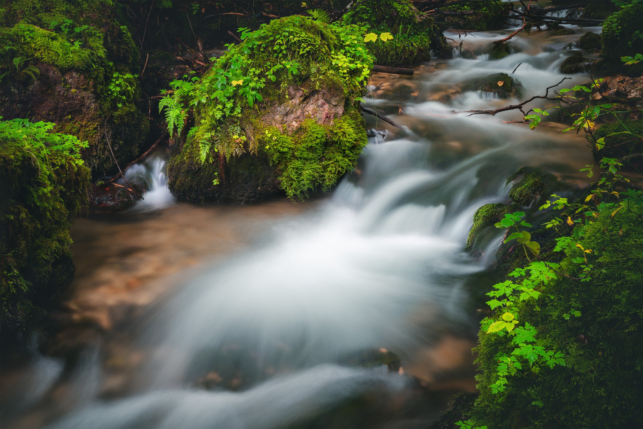 _DSC1189_Ps_web.jpg