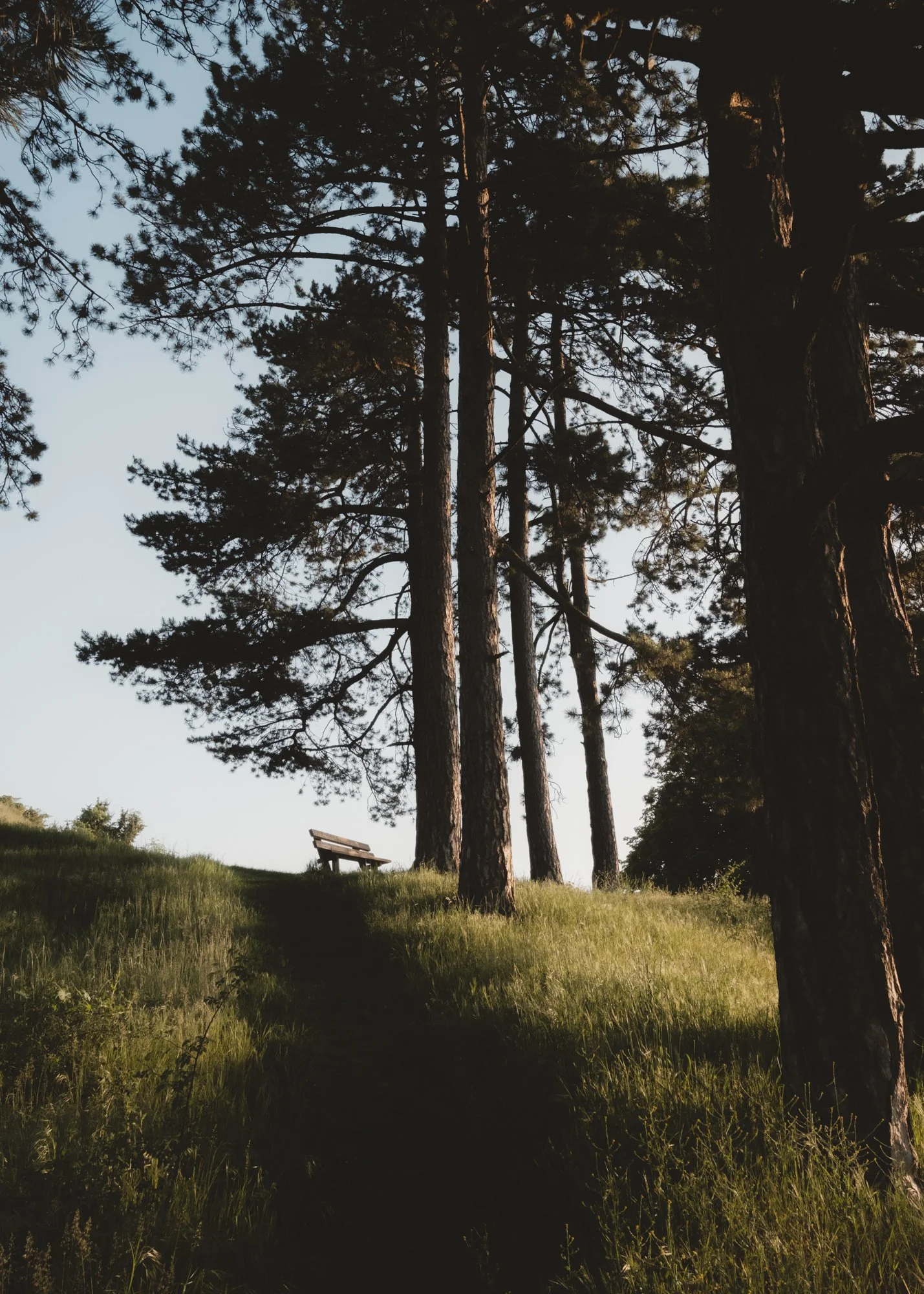 DSCF0187_Lr_small.jpg