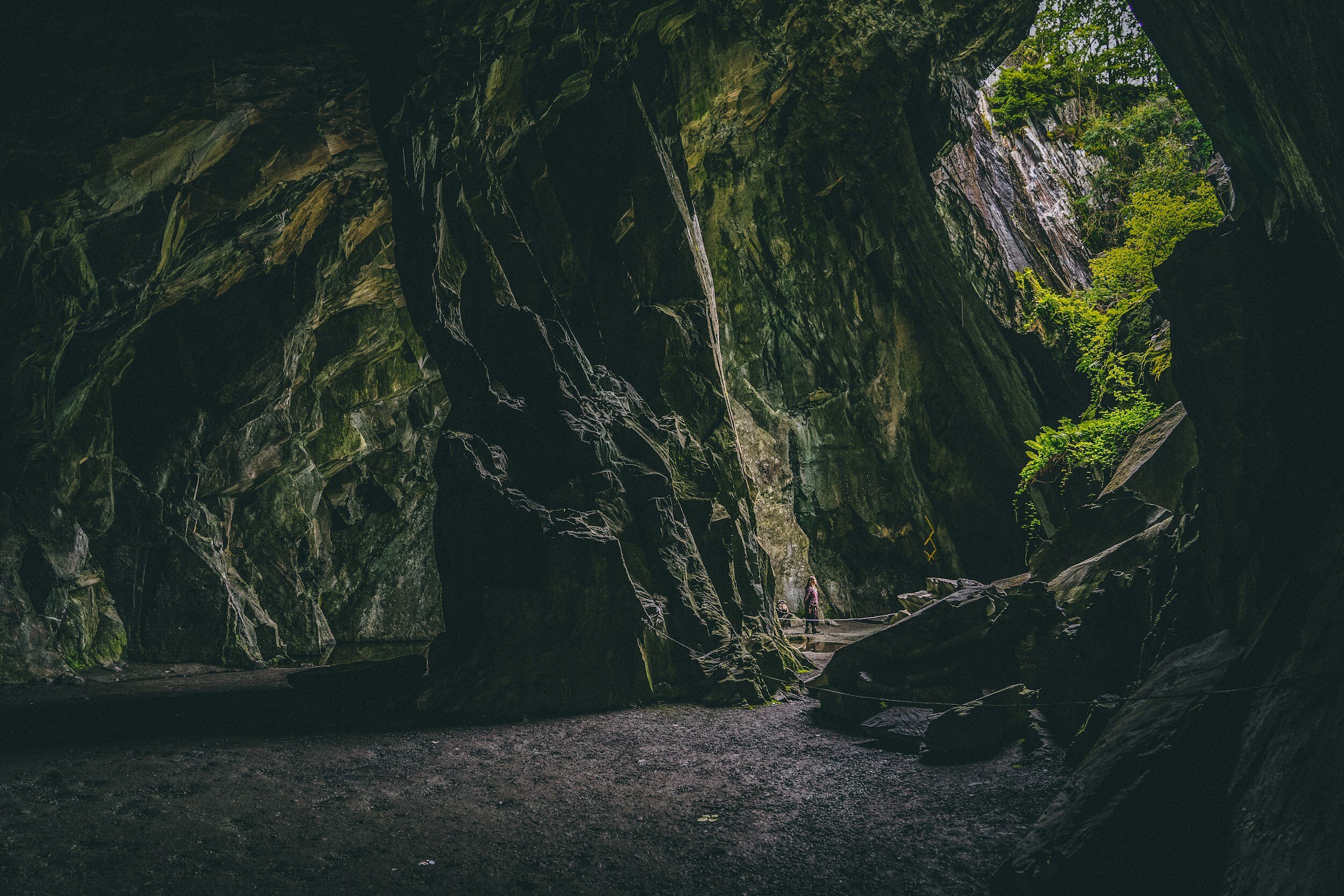 Cave Times