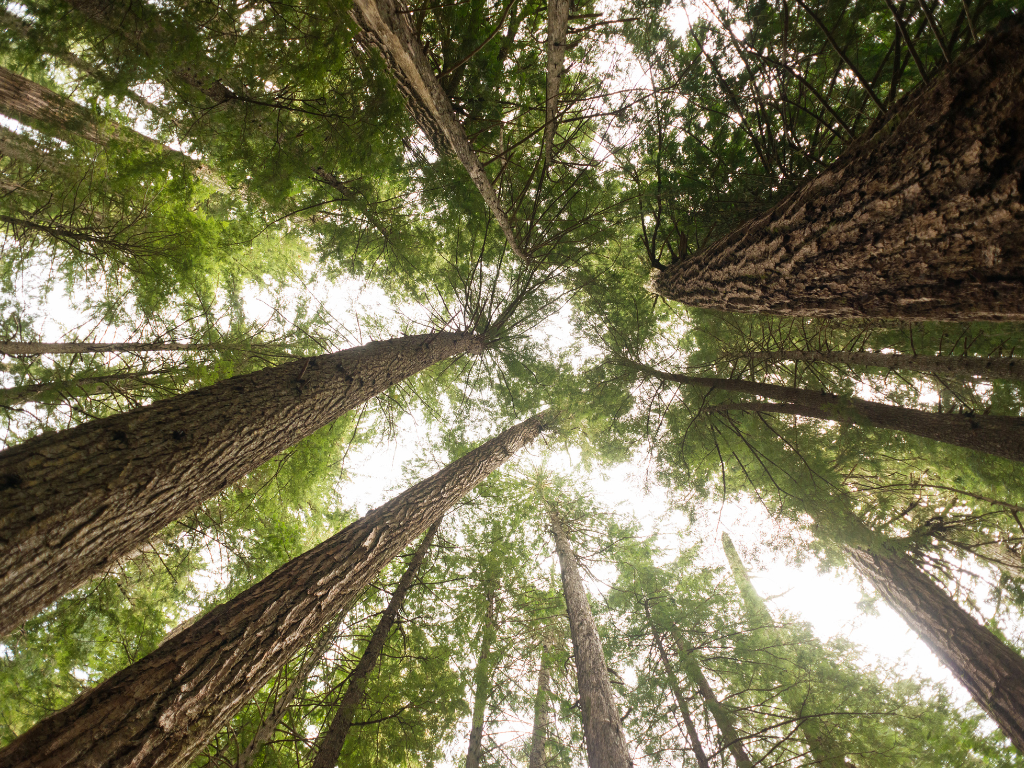 what growth asks of us