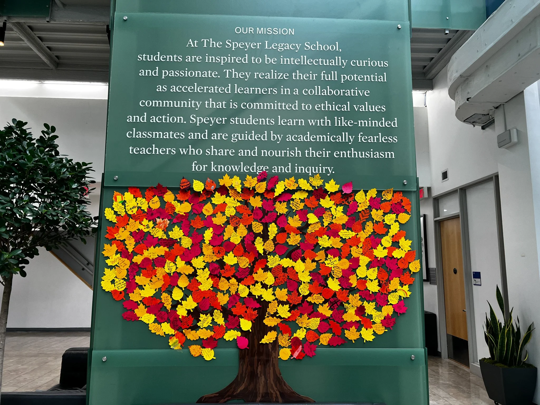 Edited Thanksgiving Photos-5.jpg