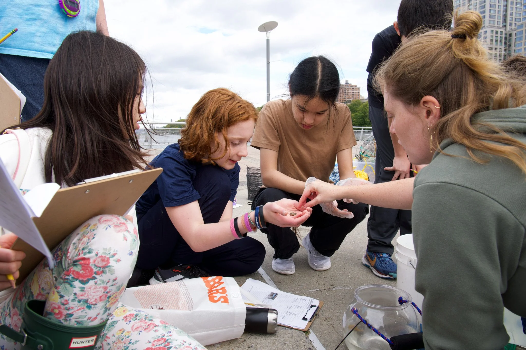 Seventh Grade Life on the Hudson FT .jpg